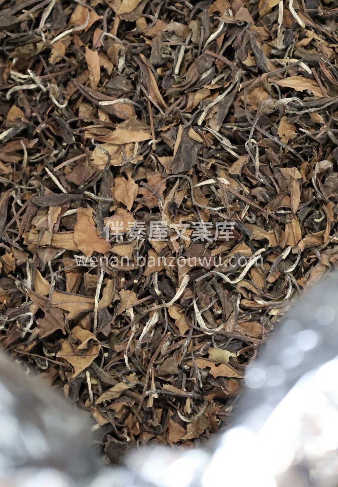 精品寿眉上新✨ 岁月陈化，枣香浓郁，汤感 配图2