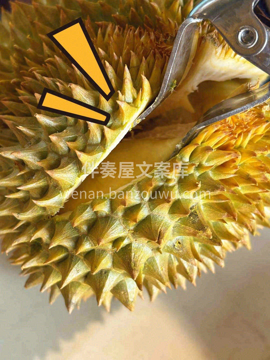 今天的榴莲超级好！吃下去的瞬间，脑袋已经 配图3
