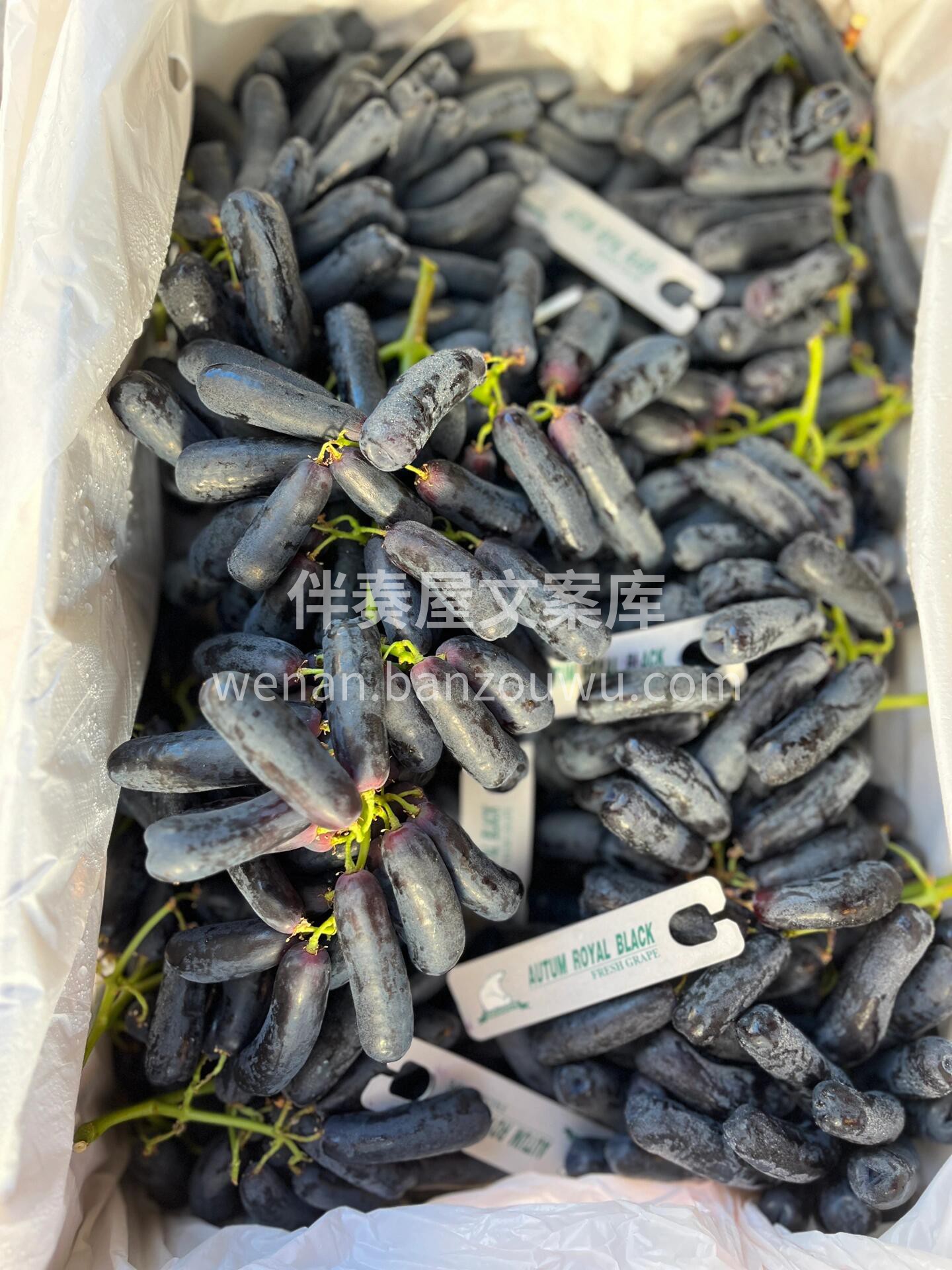 💅美人指蓝宝石🍇 香甜清爽，皮薄如丝，摘 配图3