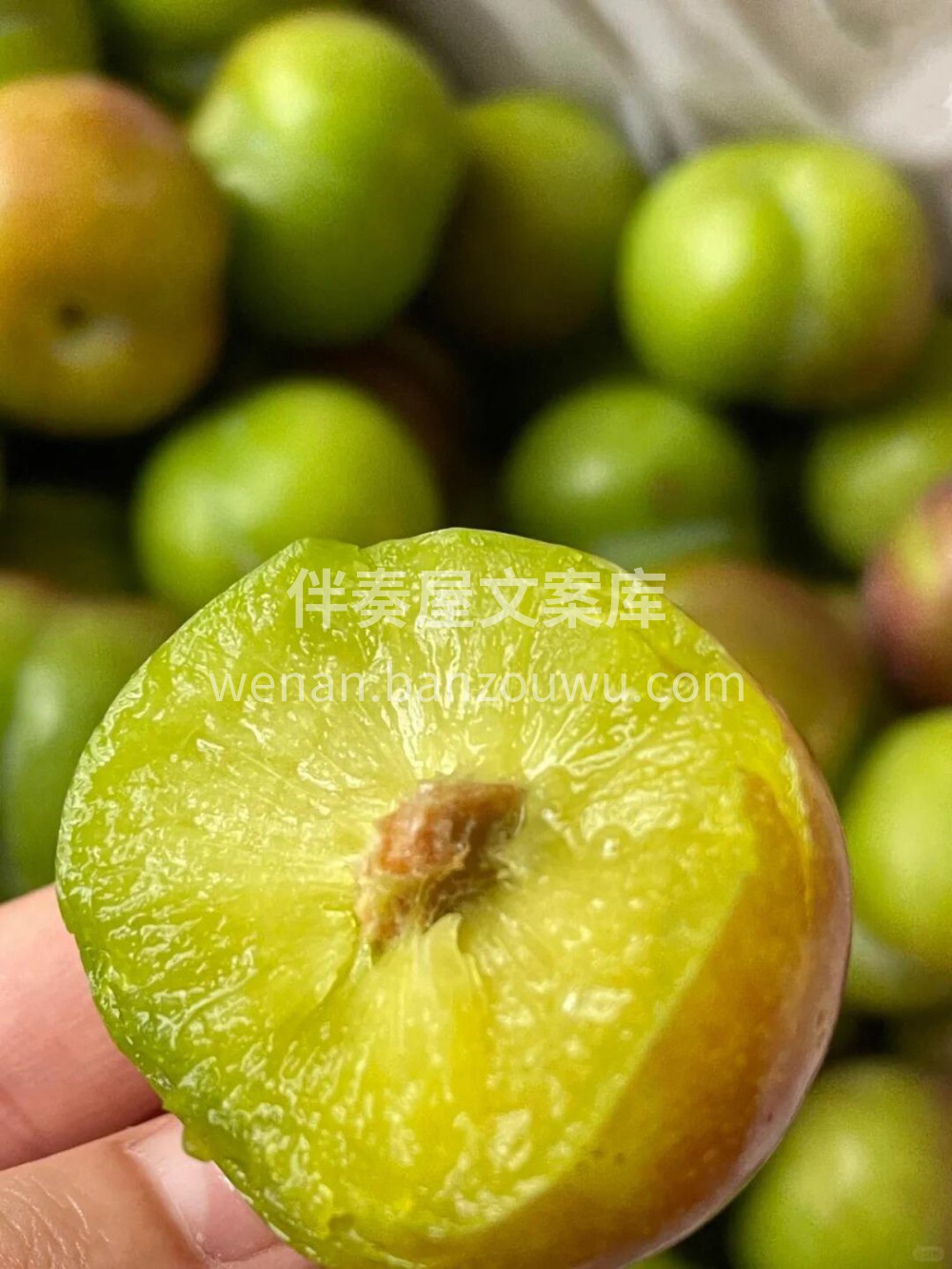 半边红李子💚 脆脆甜甜🥰口感独特🌈 脱骨 配图1