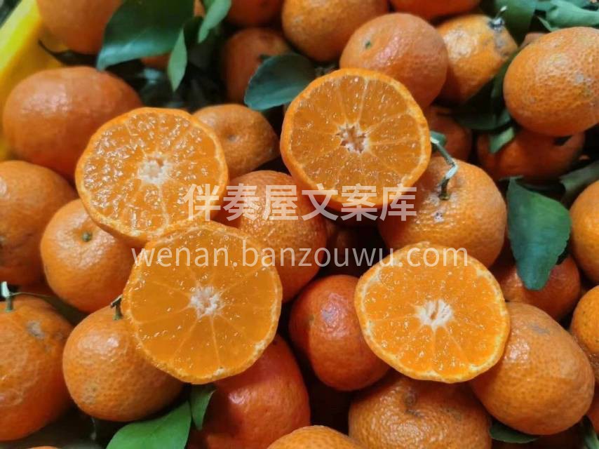 🍊广西砂糖橘 沙糖橘果实大小均匀，适中🔥 配图3