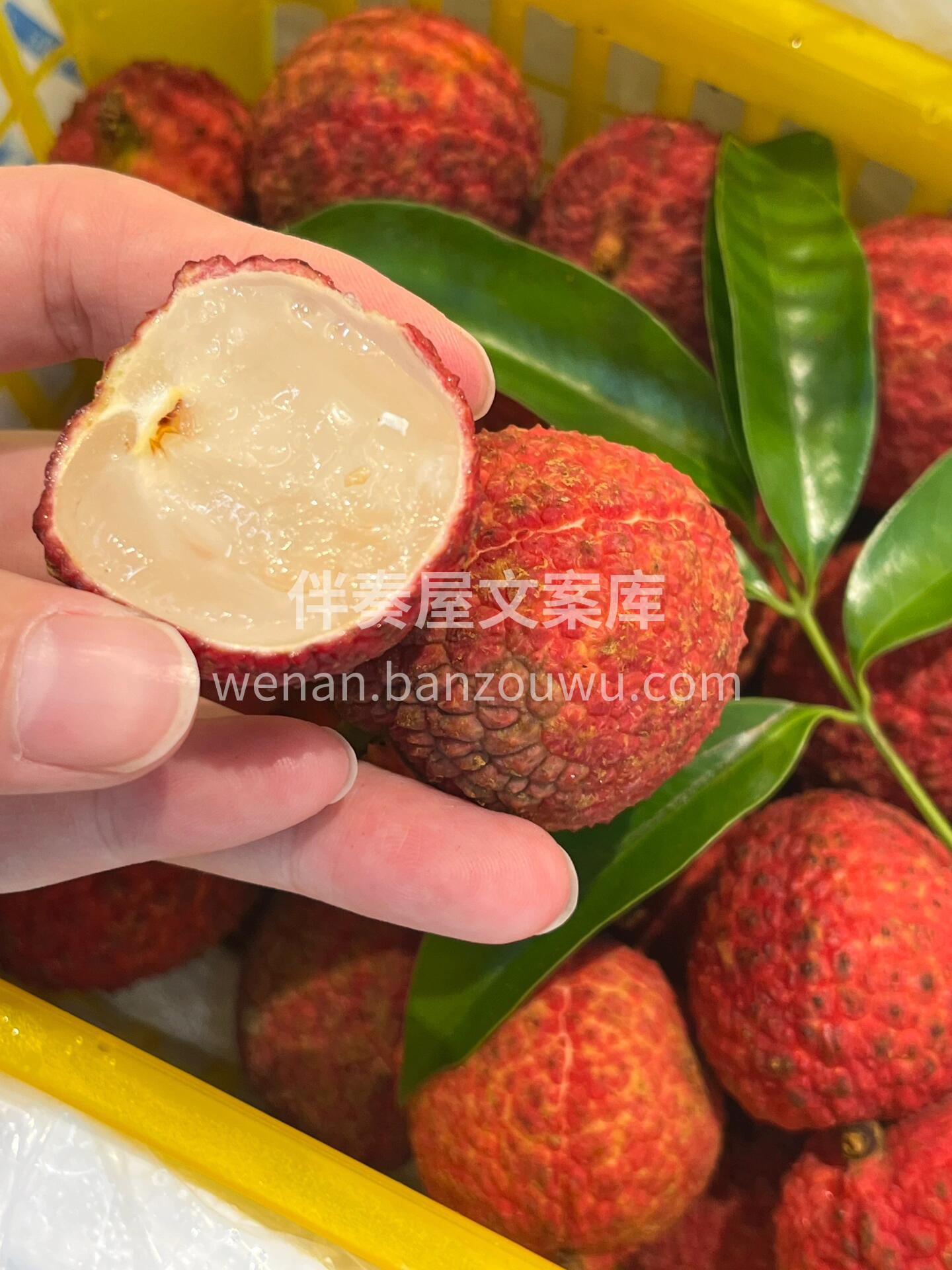 🌞【早安水果时间】 清晨的第一口甜蜜，从一颗新鲜水果开始~唤 配图4