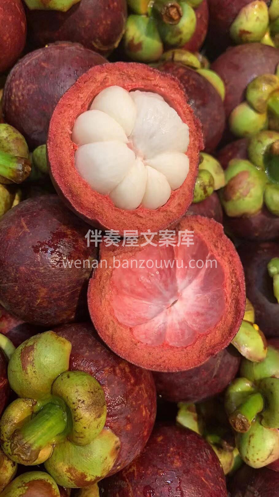 🔆 夏天的美好，因为风吹动了心❤️ 🍭生 配图1
