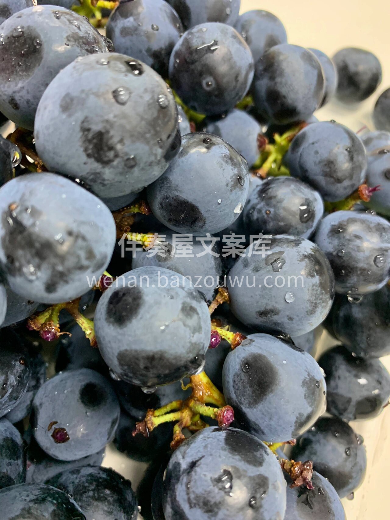 冲洗❄❄过的葡萄硕大饱满，一口咬下去，果 配图1