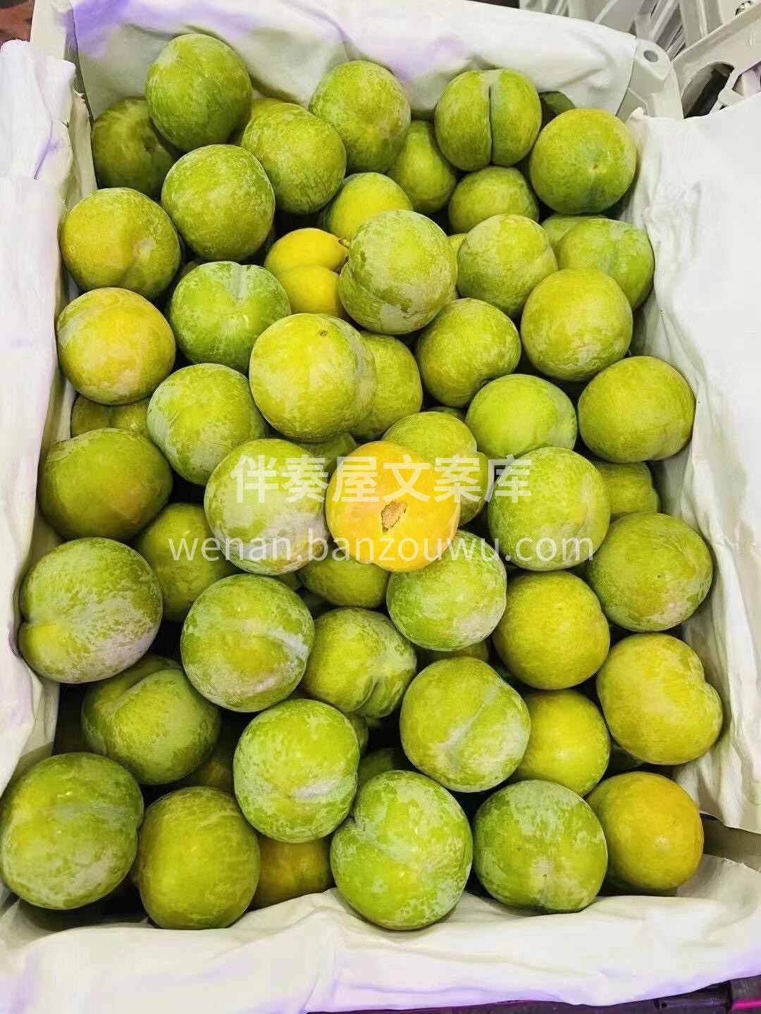 最近超爱的一款水果❤️蜂糖李 痴于百味， 配图3
