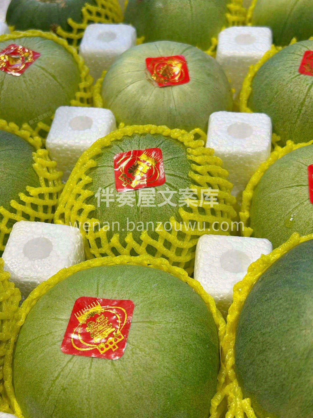 精品绿宝甜瓜，推荐：⭐⭐⭐⭐⭐～ 她犹如 配图1