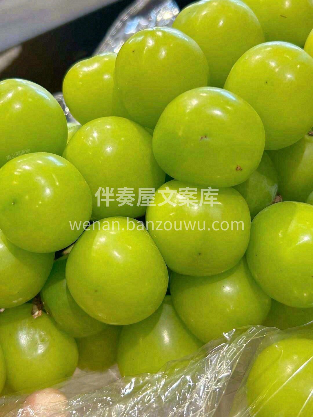 🍭这绝对是今年最好吃的阳光玫瑰葡萄🍇性价 配图3