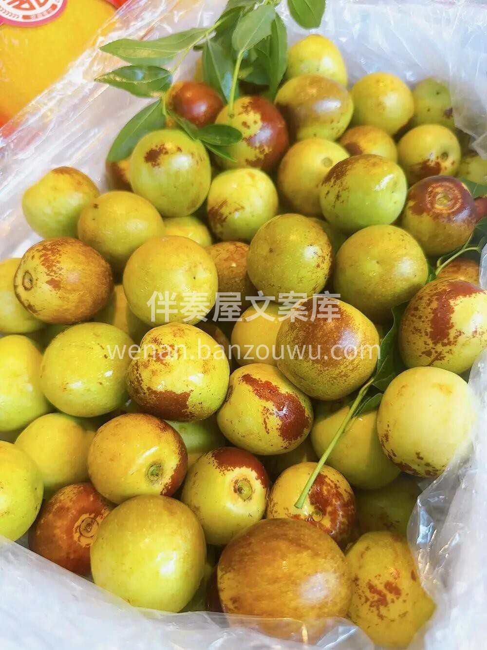 大荔冬枣🍃天气热也不耽误吃冬枣！ 👆俗话 配图3