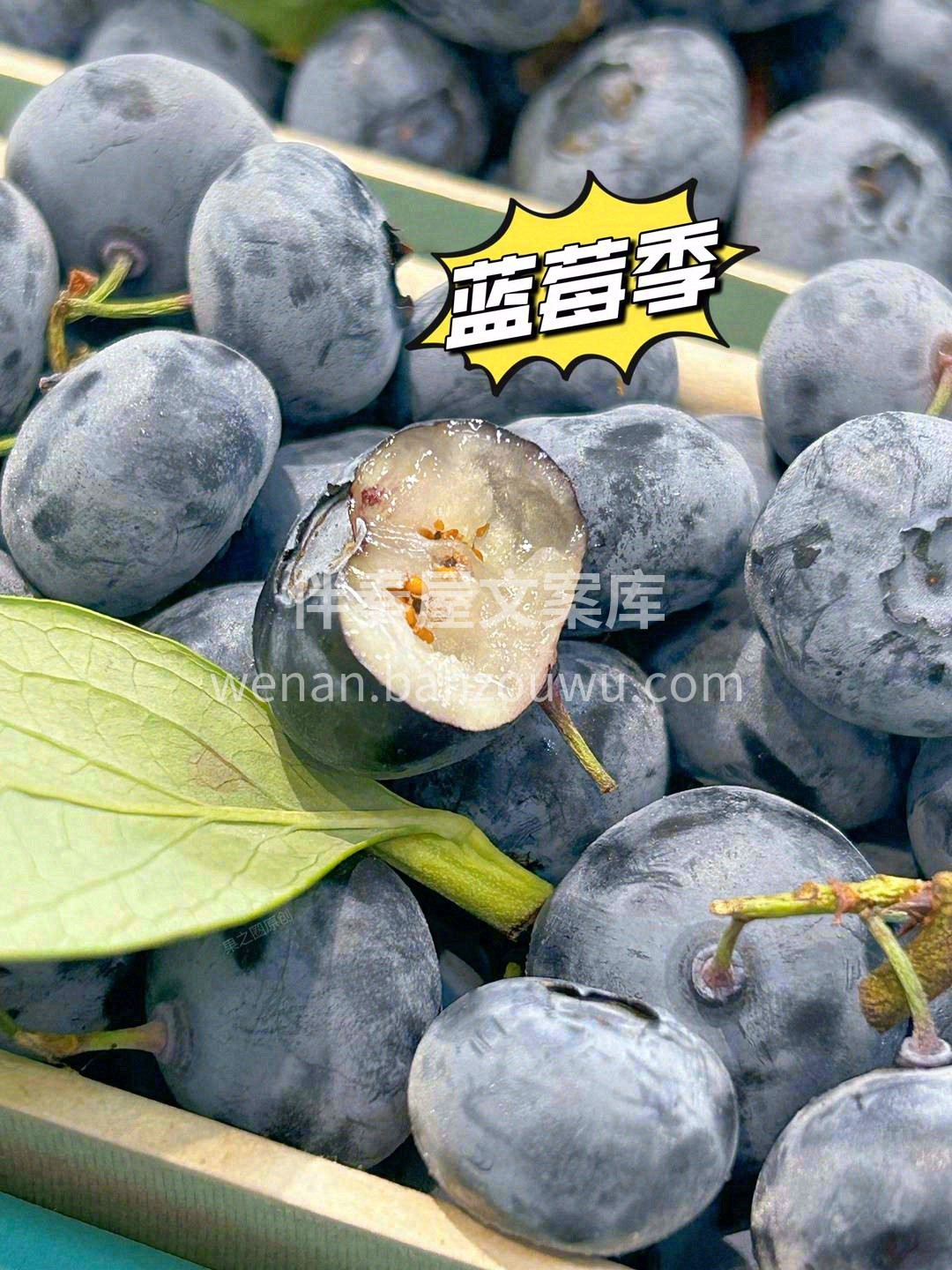 🌳大自然用绿枝锁住这抹深邃的蓝💧 每颗果 配图2