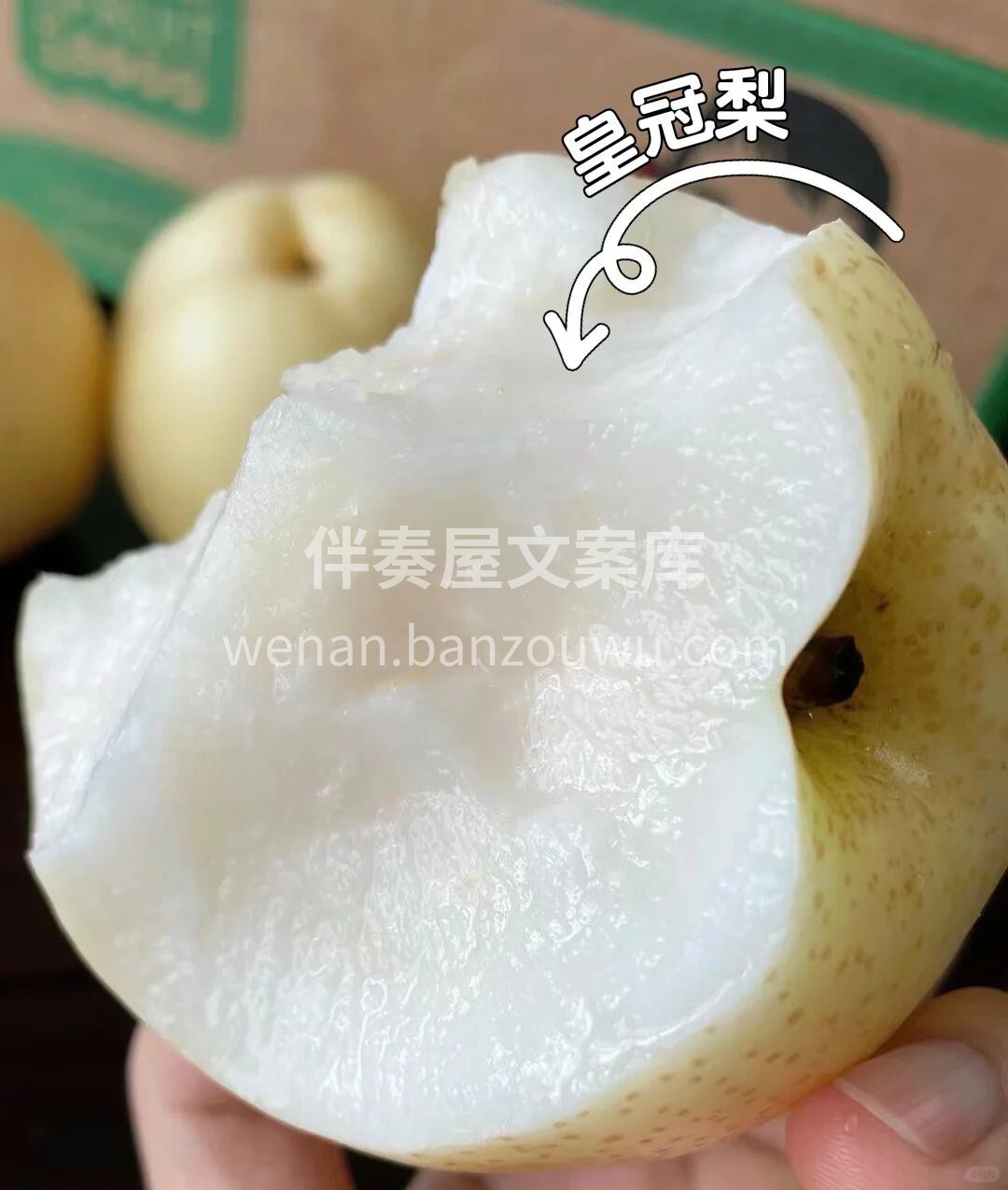 皇冠梨🍐“天然矿泉水”谁还没有吃过？！  配图1