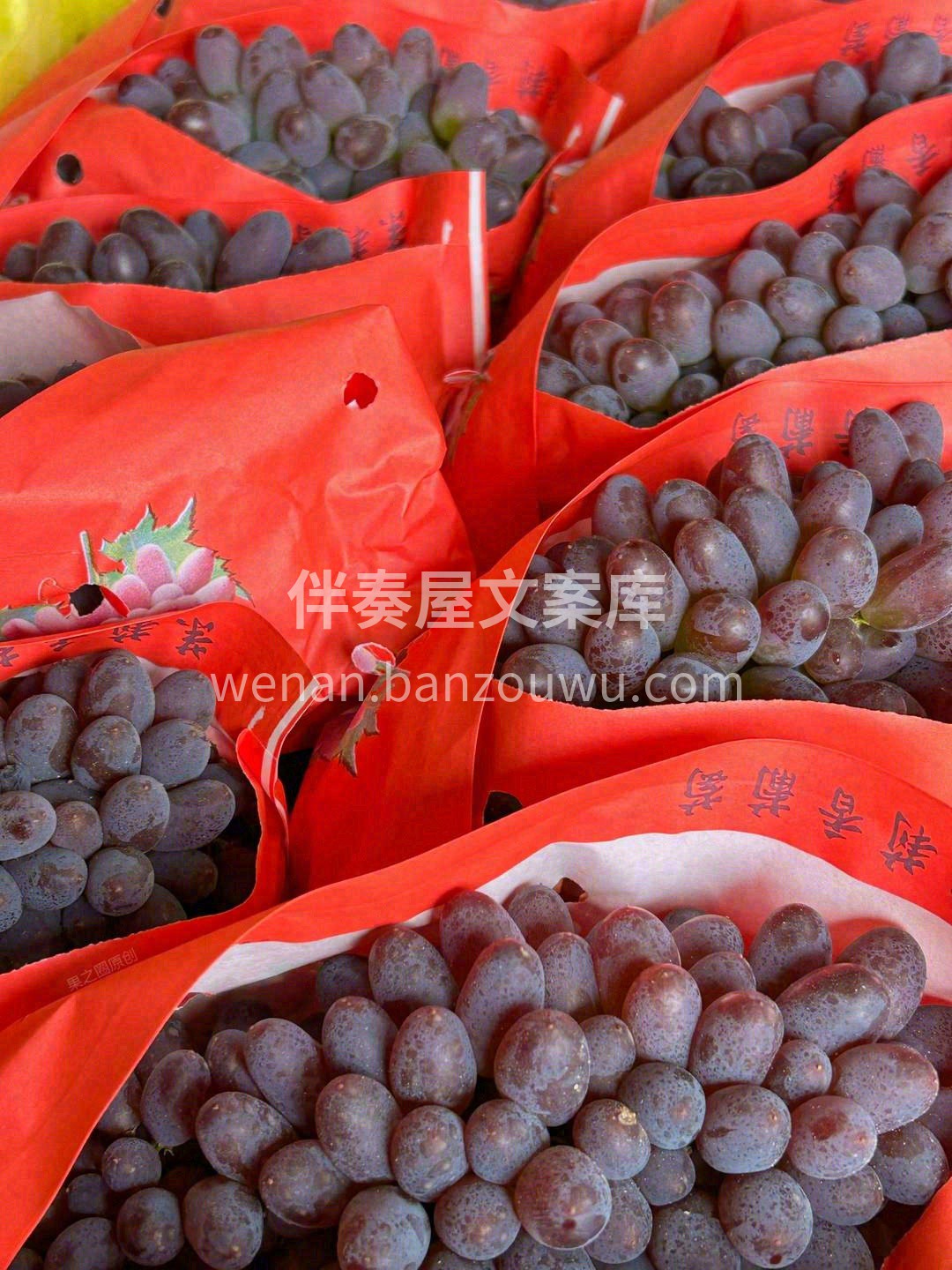 一颗入口💋，果肉释放无尽的果香🌈，还有那 配图3
