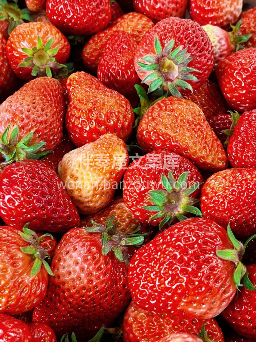 🍓✨〰︎ ɴɪᴄᴇ ᴅᴀʏ ࿎ 今天是草 配图1