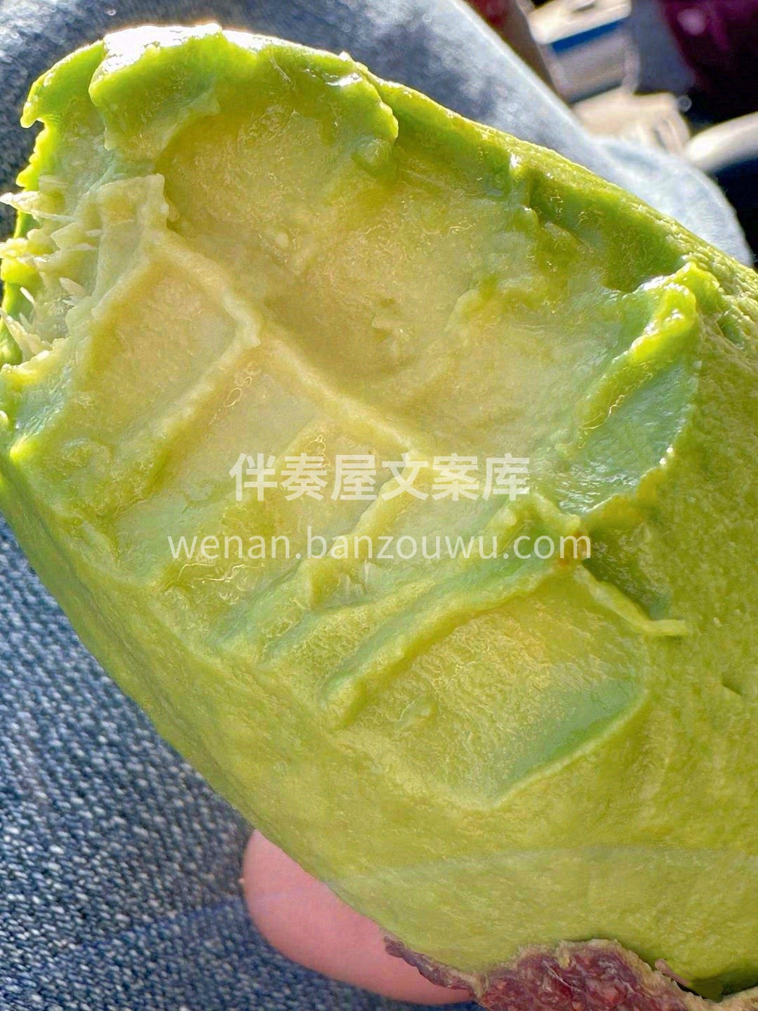 牛油果：秋天里的绿色好心情🥑🥑 美味又低 配图2