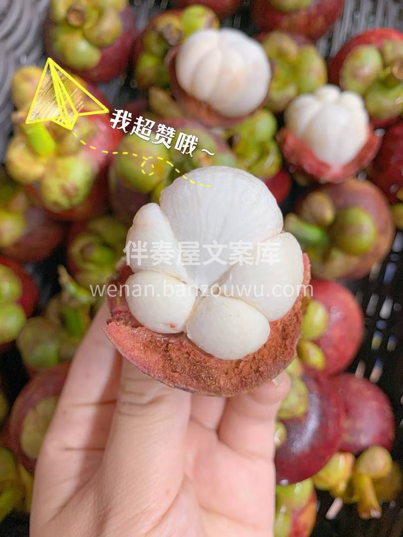 ❤️山竹最新到货！ 春雨绵绵☔️，山竹陪 配图3