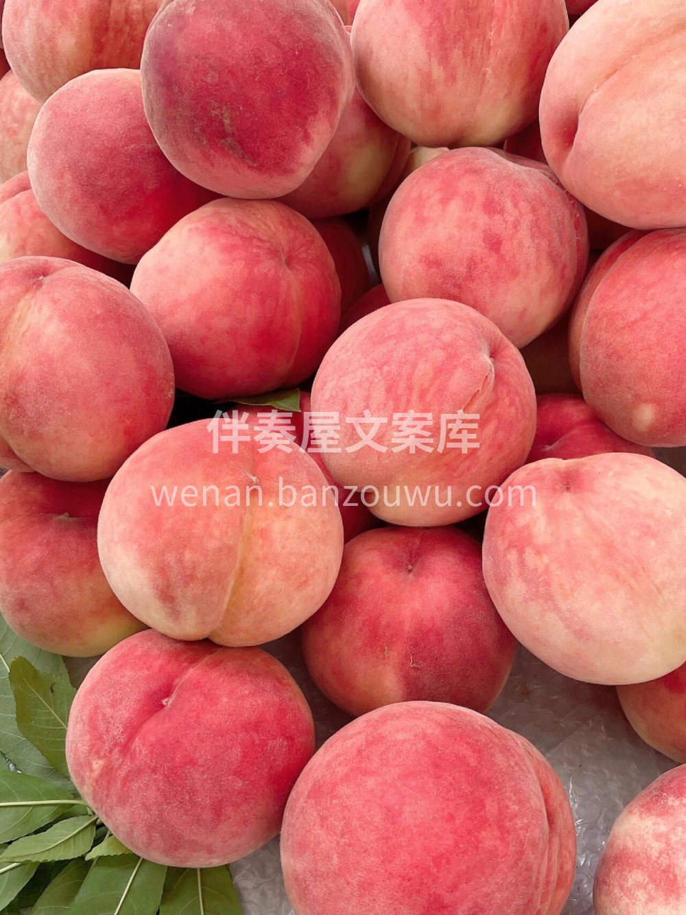 🌿 龙泉驿水蜜桃，不仅味道甜美，更是营养 配图3