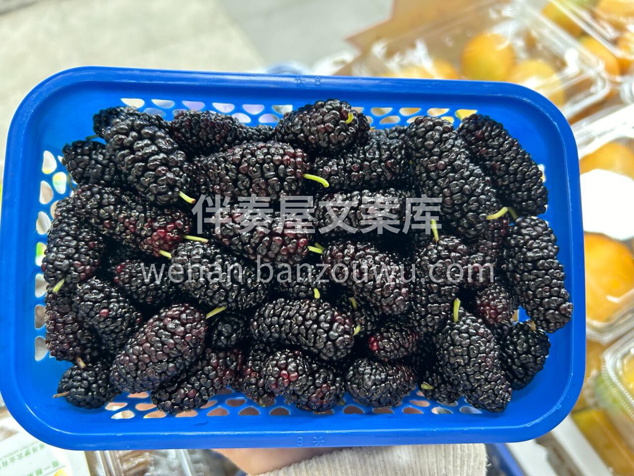 ✨民间俗语“桑葚赛人参”👍 其实，欣赏一 配图2