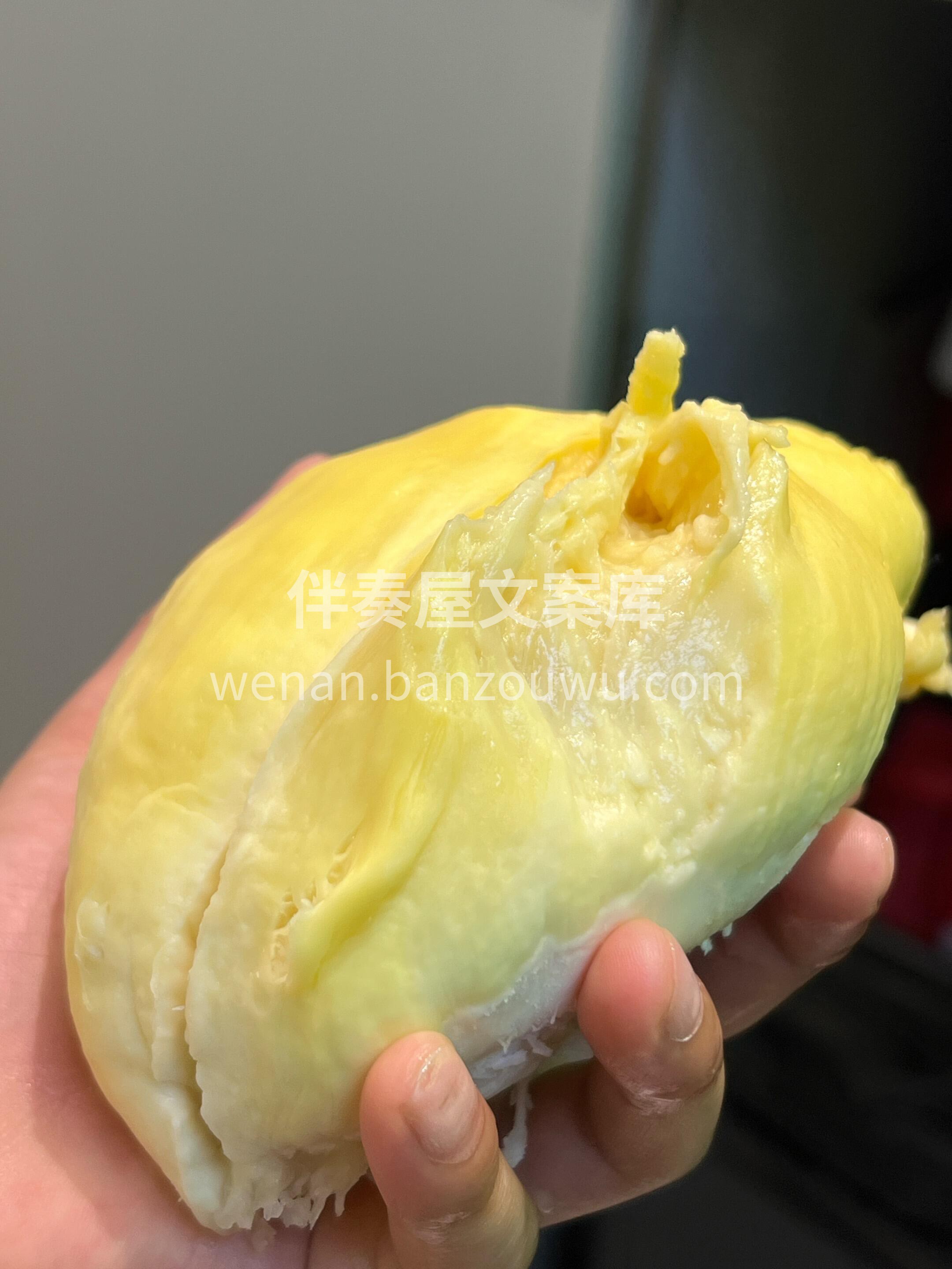 卖榴莲啦‼️金枕榴莲最新到货🔥 👏今天开 配图1