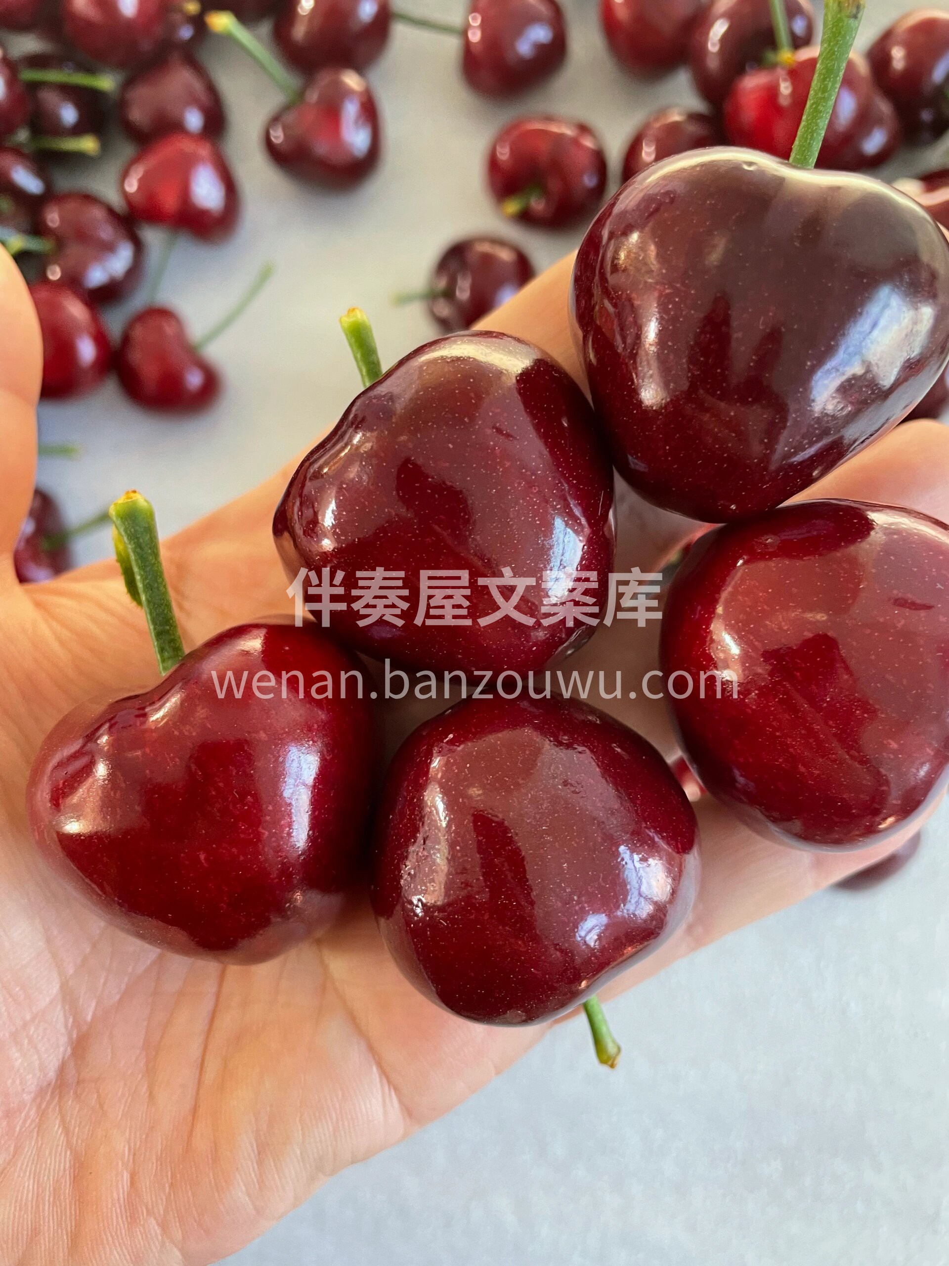每天有每天的快乐🎉 ～ 大樱桃🍒一口一颗 配图2