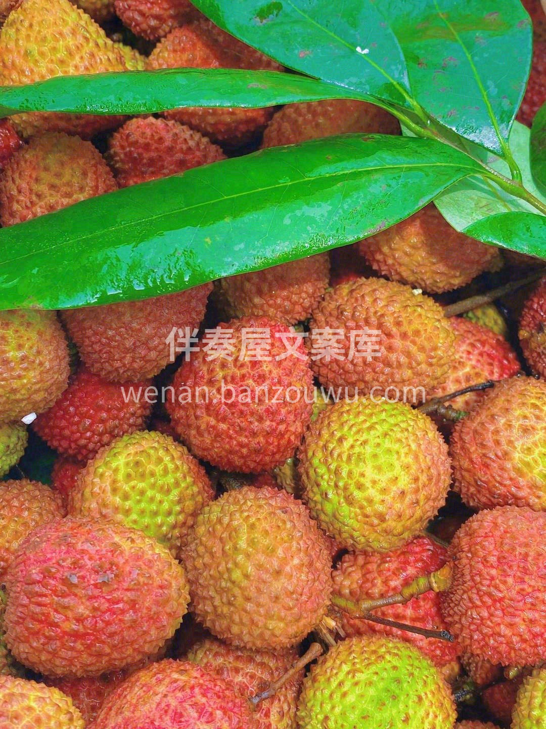 甜而不腻，爽得刚好🌈 入夏“第一颗”妃子 配图1