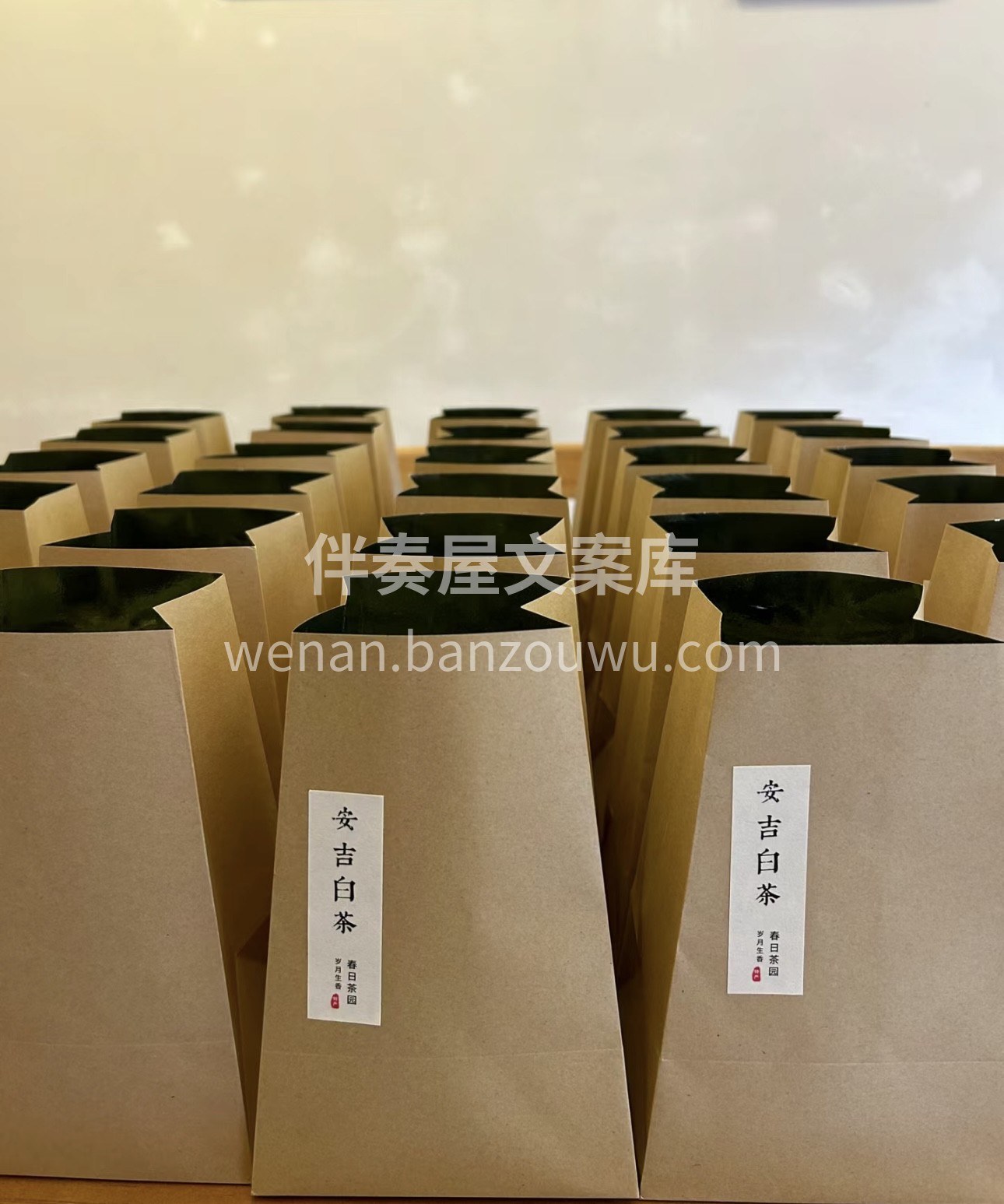 安吉白茶以“鲜如鸡汤、香幽若兰”而著名。 配图3