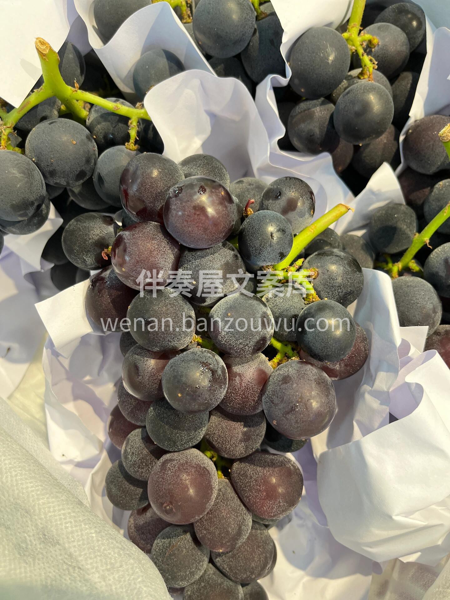 到货🔥巨峰葡萄🍇 香、脆、甜‼️入口细细 配图2