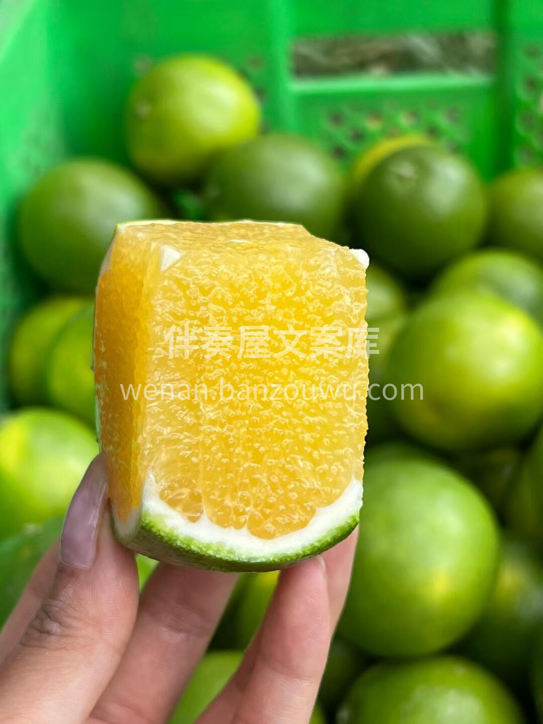 #冰糖橙 这个季节唯一纯甜不酸的橙子😋  配图1