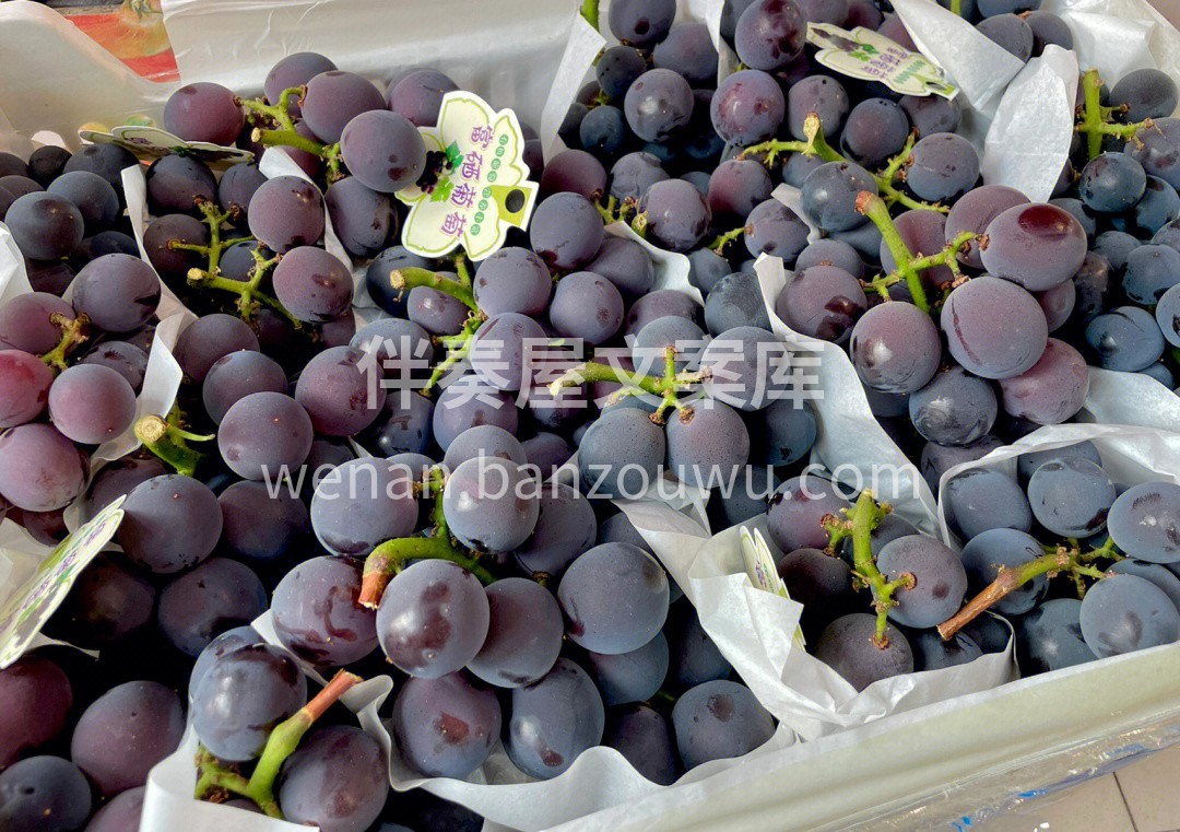有机富硒巨峰葡萄🍇 纯甜口 香气浓郁 满 配图2