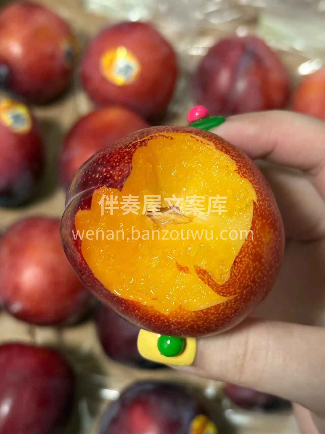 图力奇红喜悦李 个大精致，红彤彤的晶莹剔 配图2
