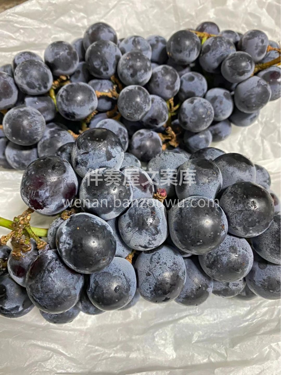 🌿这个时候怎么能少的了蓝莓葡萄🍇呢？ 满 配图3