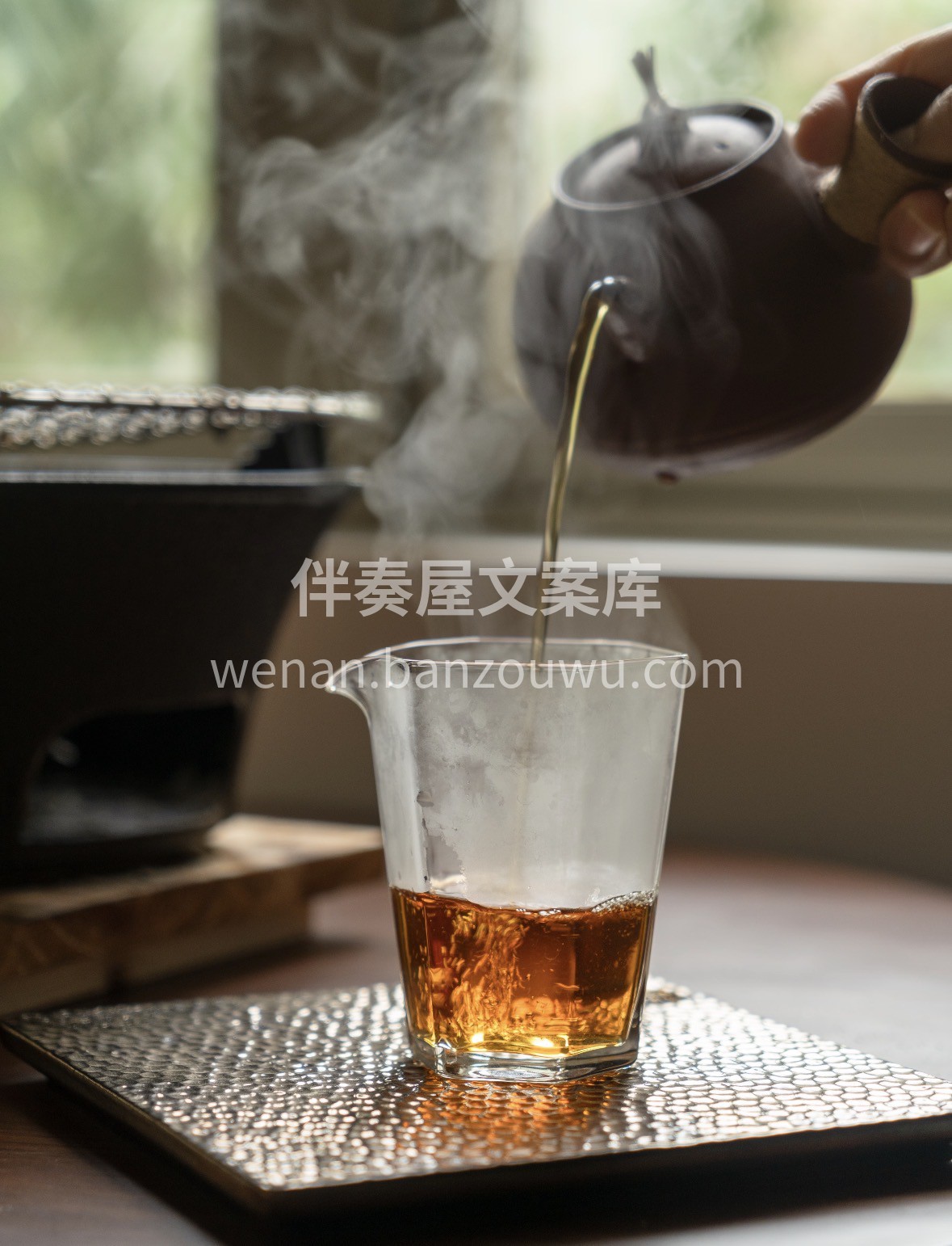 新春茶礼首选老寿眉｜🎁 🍵源自福鼎高山茶 配图2