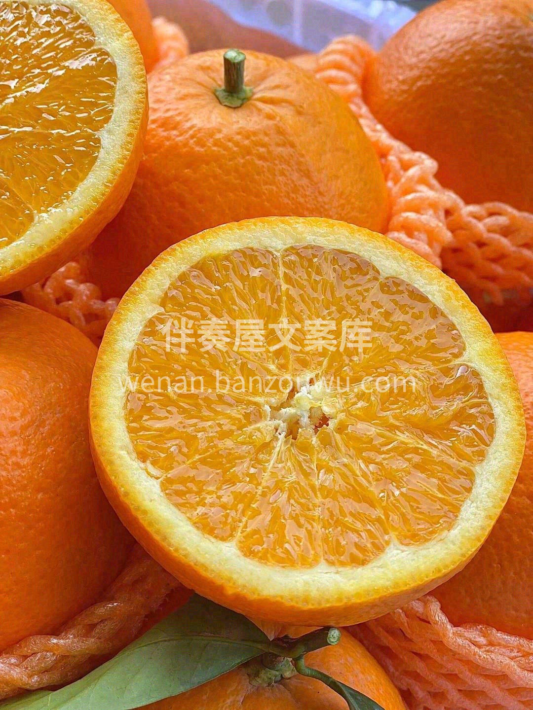 此时已满园橙香🍊，念你的人正在路上🏃 我 配图1