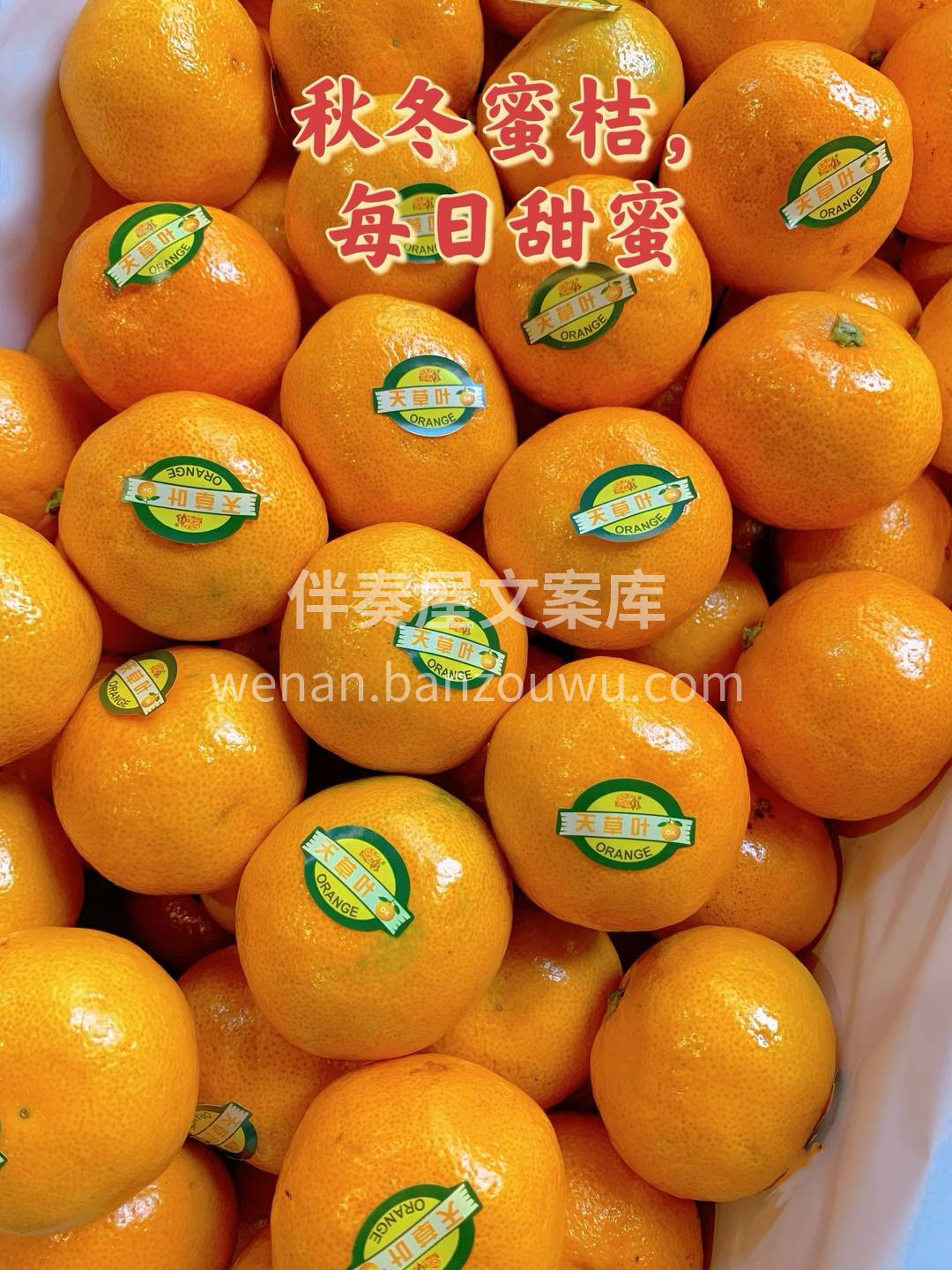 🍀秋天到了，橘子党是最高兴的 皮薄、肉甜 配图3