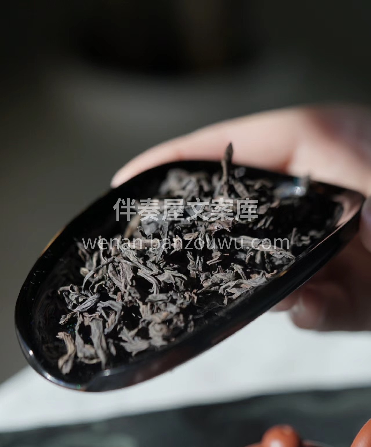 心用很朴素的词语“很厚”来形容，是清代乾 配图1