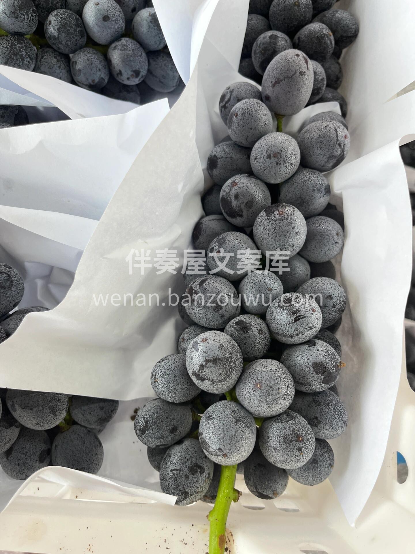 夏黑葡萄🍇新鲜到店啦 宝宝👶🏻 也可以吃 配图3