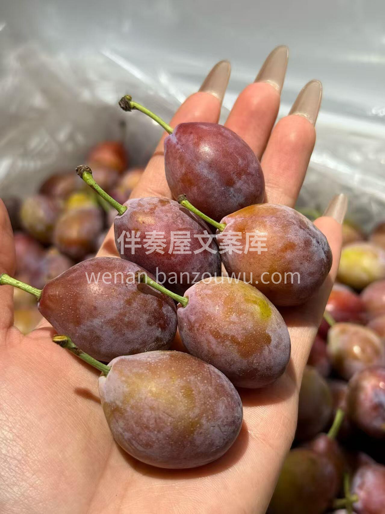 ✔️今天🈶️西梅，吃口脆甜😍 颜色很漂亮 配图1