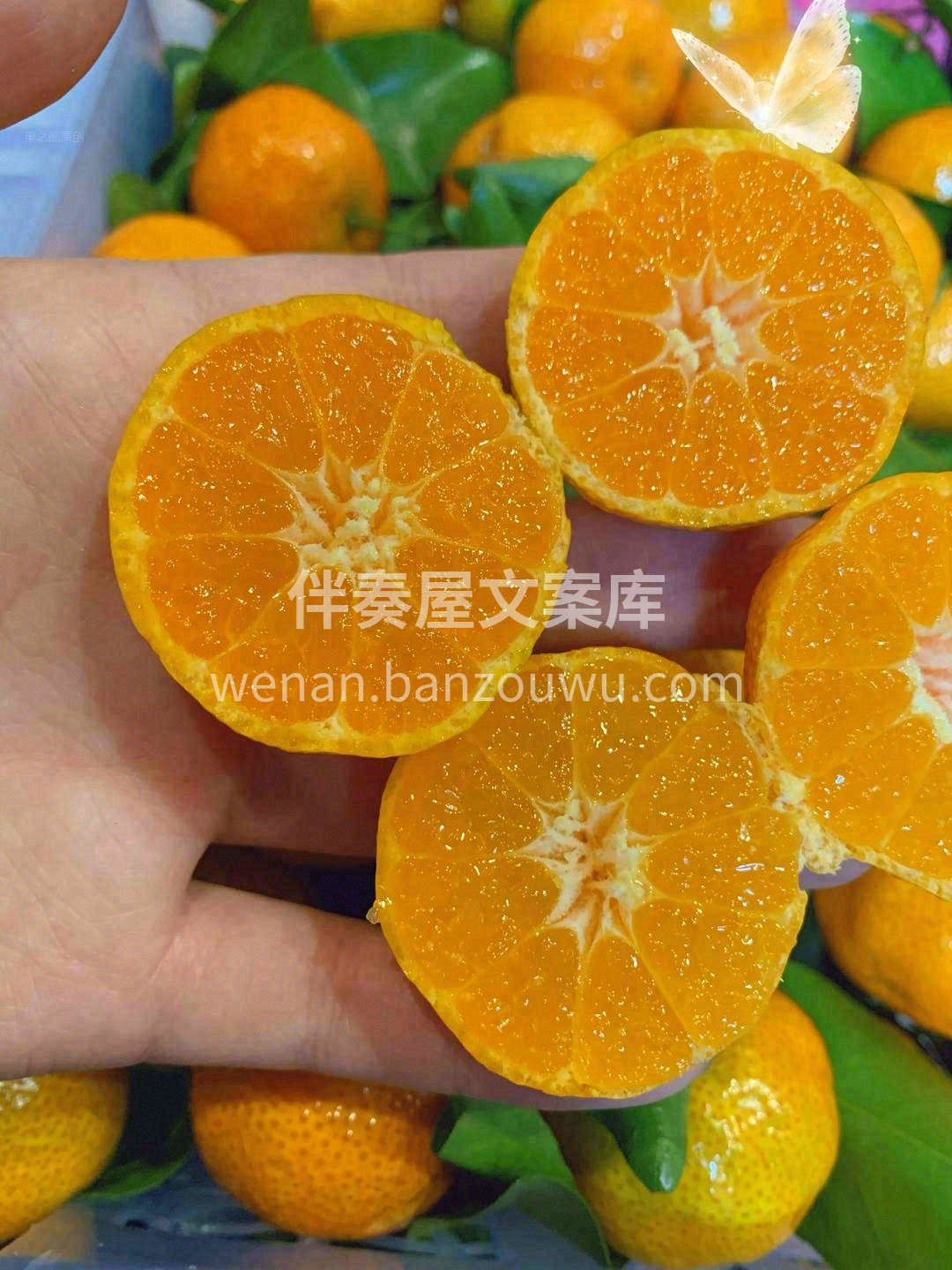生活的惊喜🧐，无论大小，皆来源于你❤️  配图2