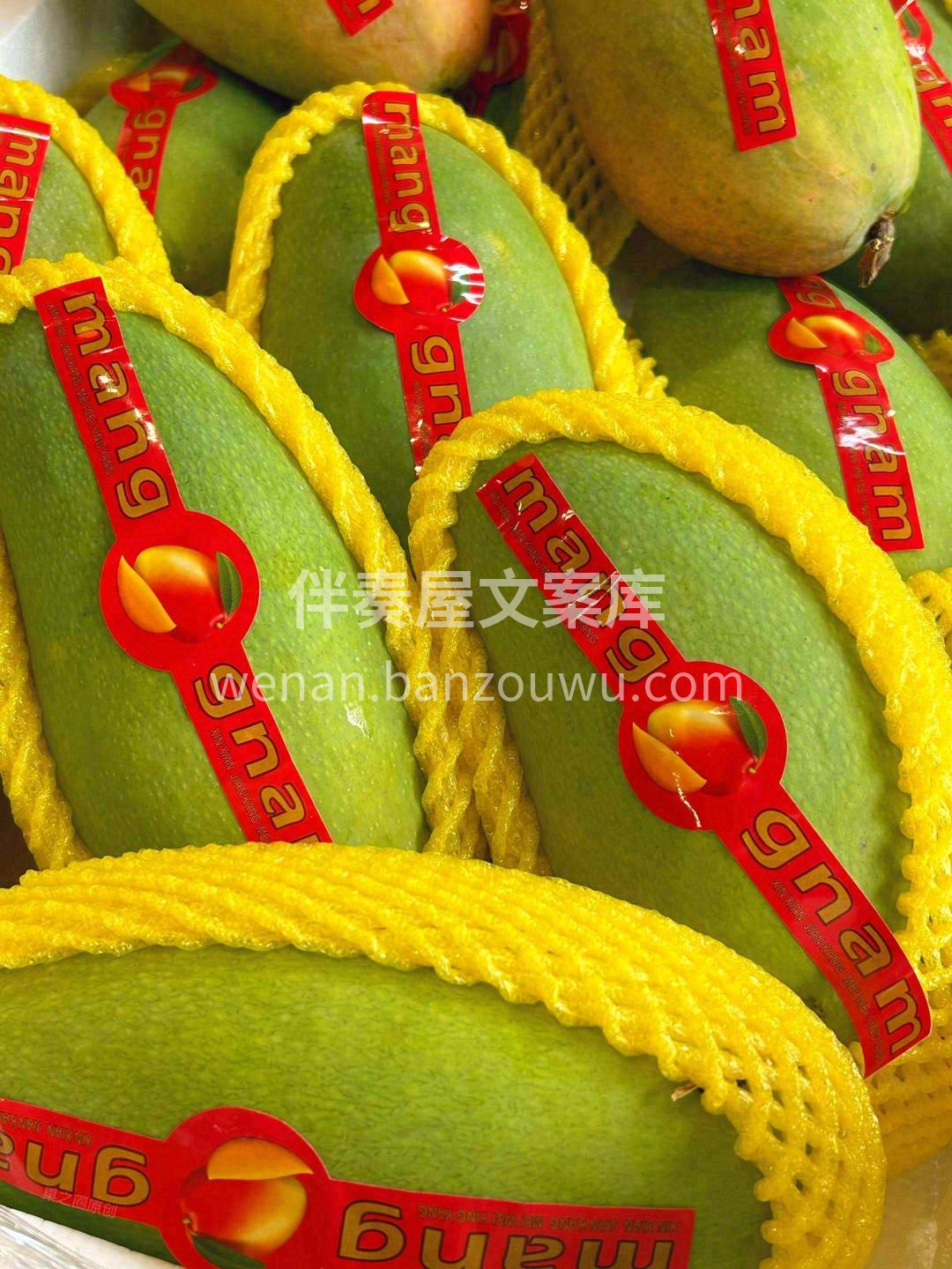 🥭越南大青芒——吸足了热带🔅阳光的好果  配图1