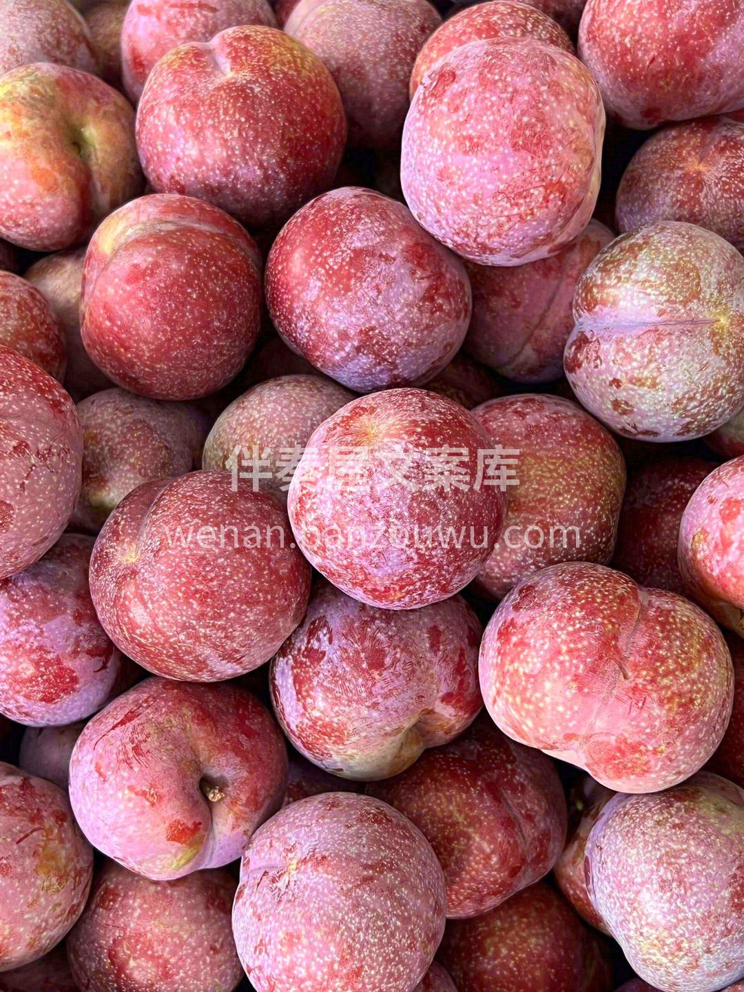 💥鲜红爽脆的果肉，咬下满满都是酸甜可口的 配图1