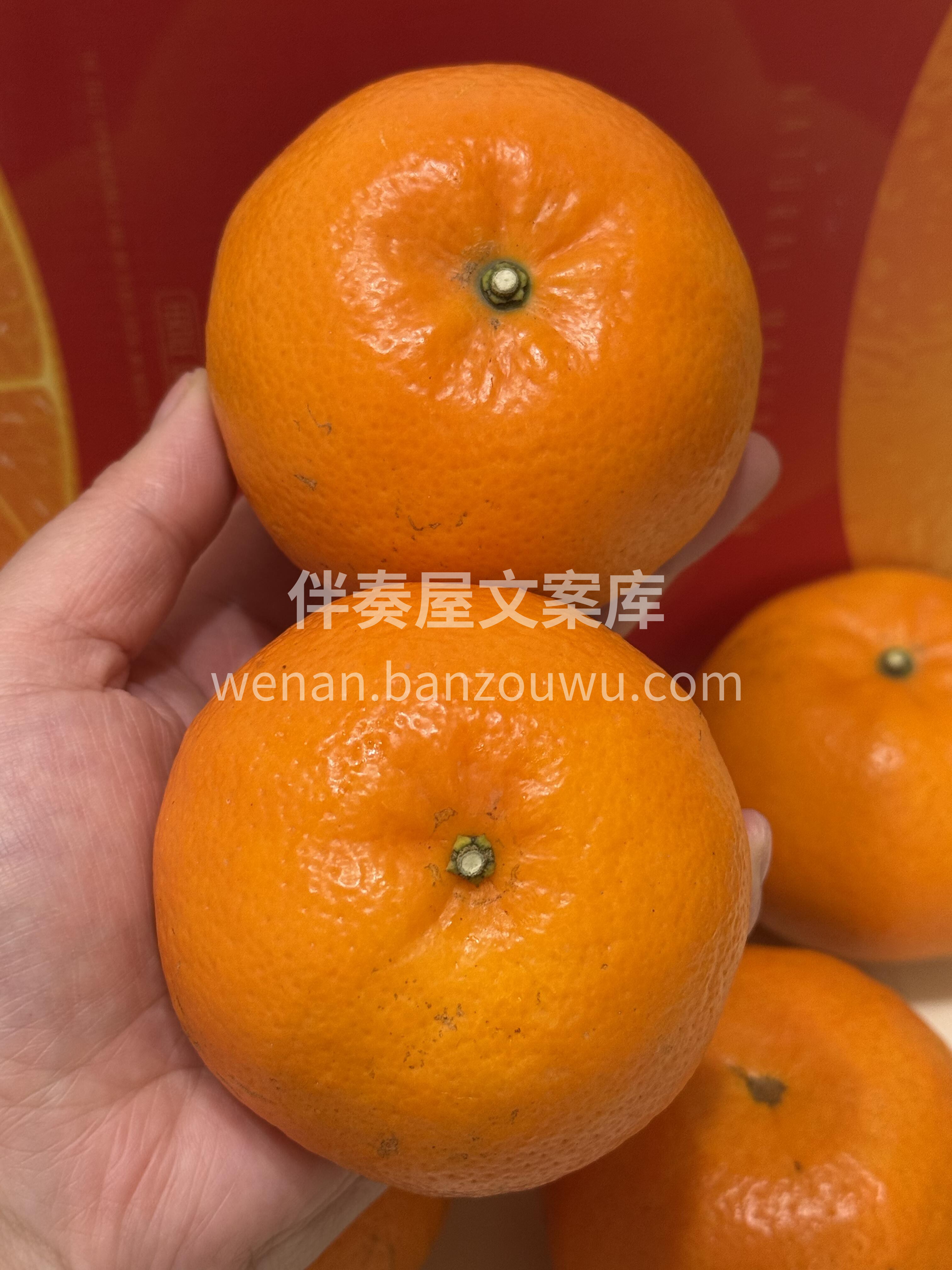 🙋超多回头客的沃柑🍊 阳光、温度、土壤、 配图3