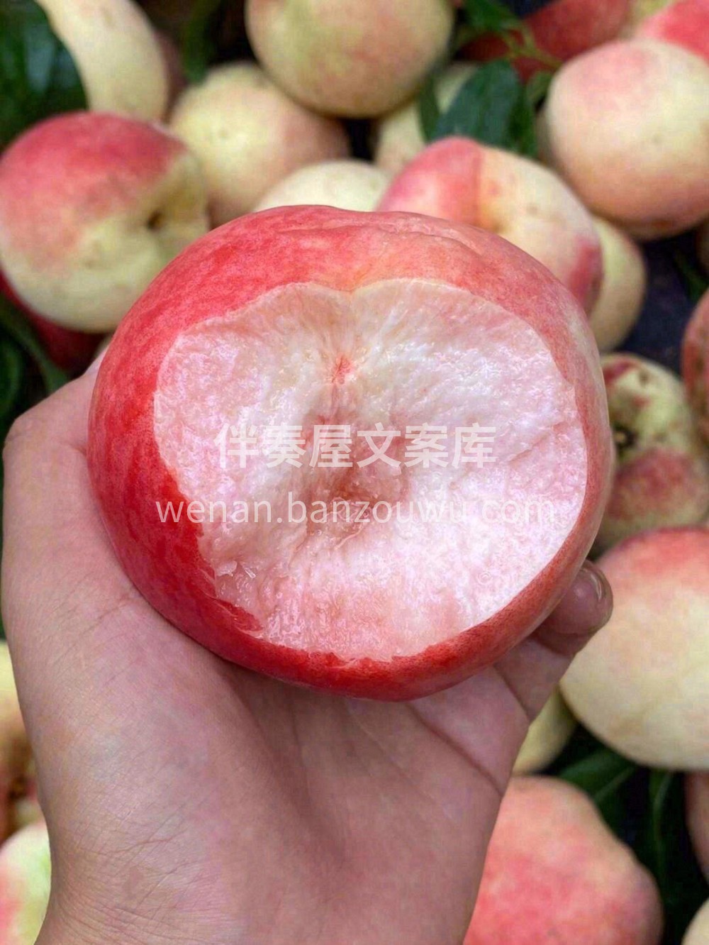🍑当鲜脆的果肉与香甜的桃汁布满口腔🙊你会 配图1