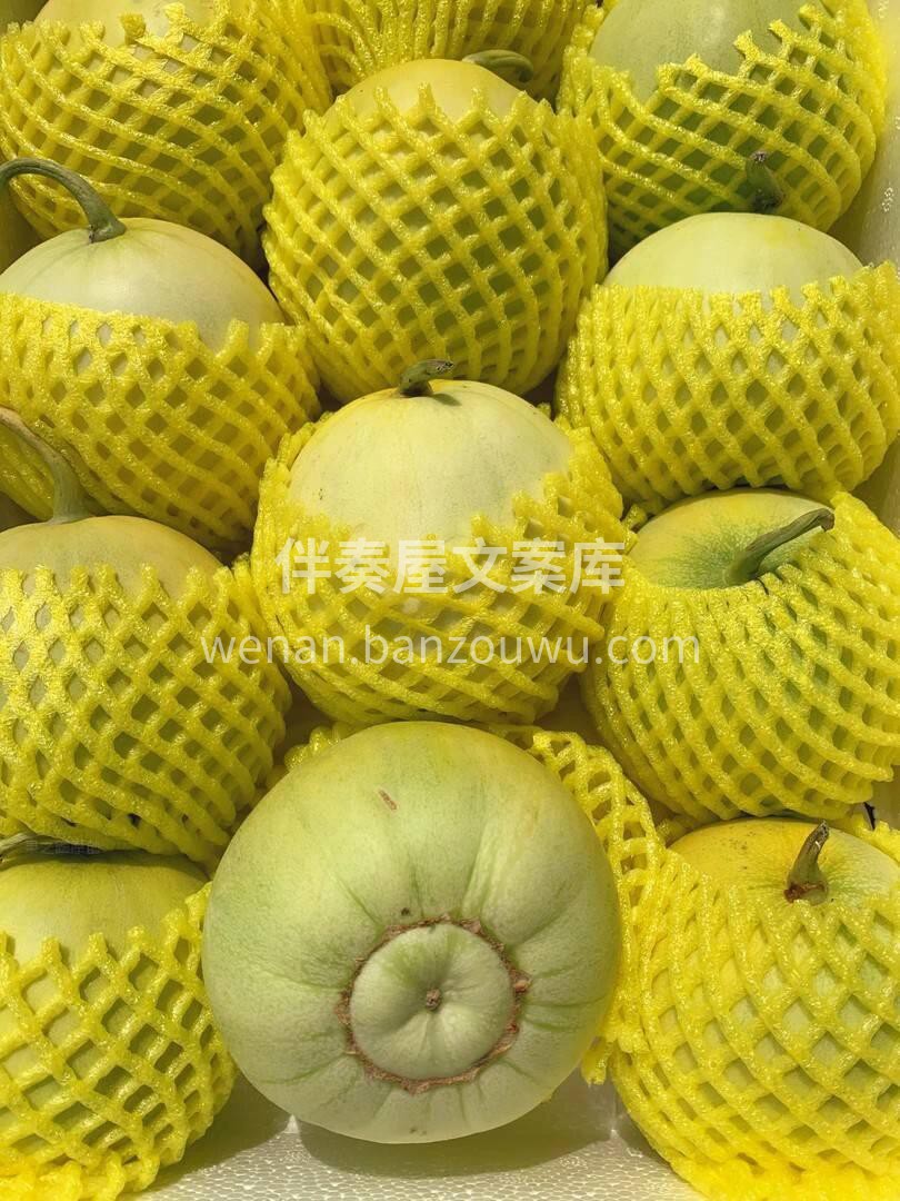 马连庄甜瓜?香喷喷，水润润～ 甜津津?一 配图1