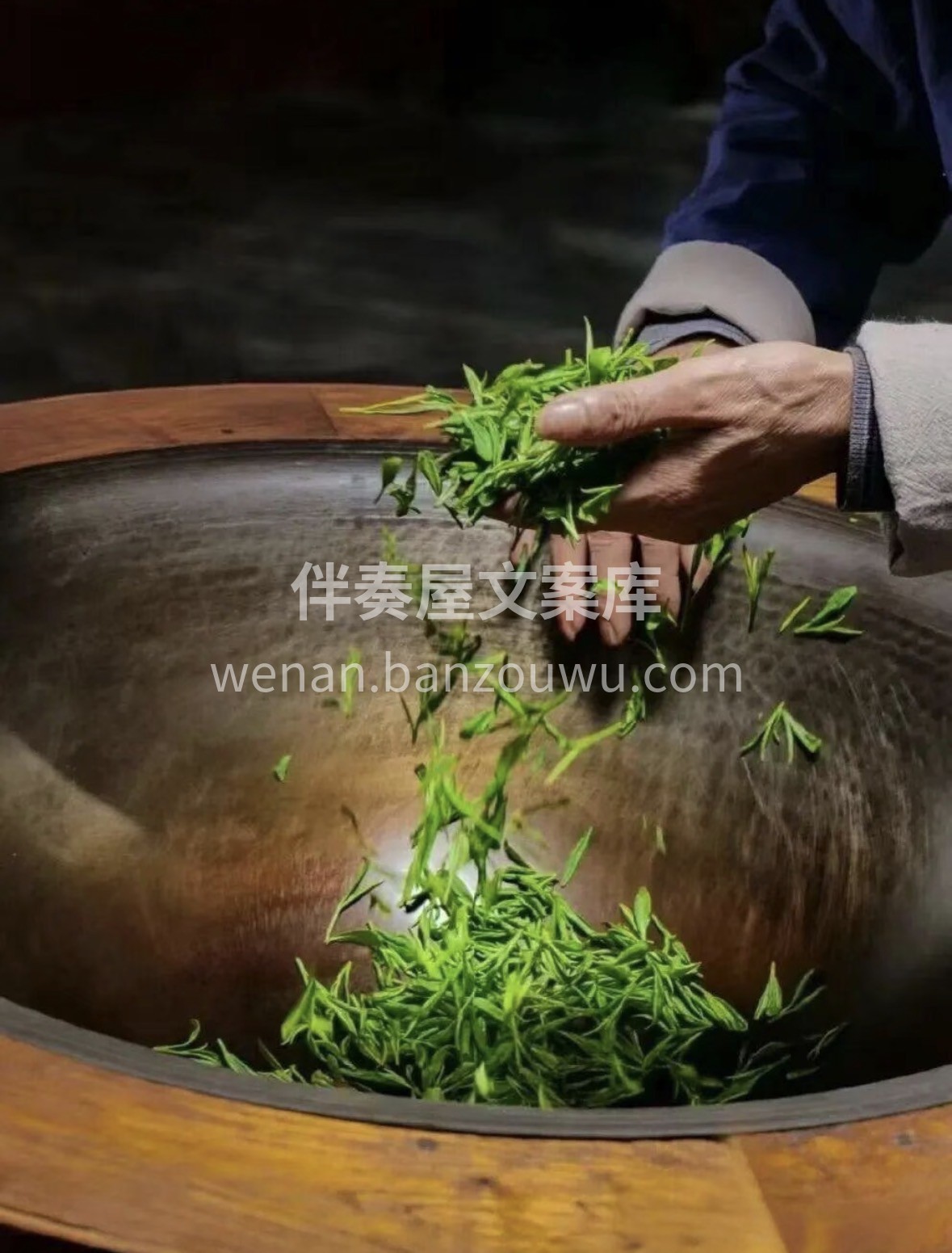 🍵春日龙井新鲜上市 头春嫩芽，鲜爽豆香， 配图2