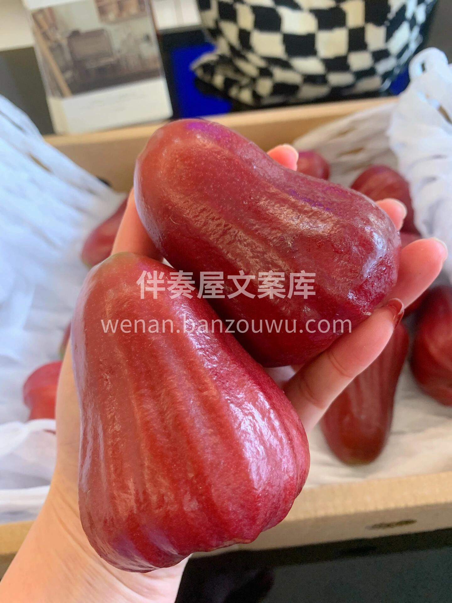 🌸 莲雾！🌸 粉红透亮像小铃铛🔔颜值在线 配图1