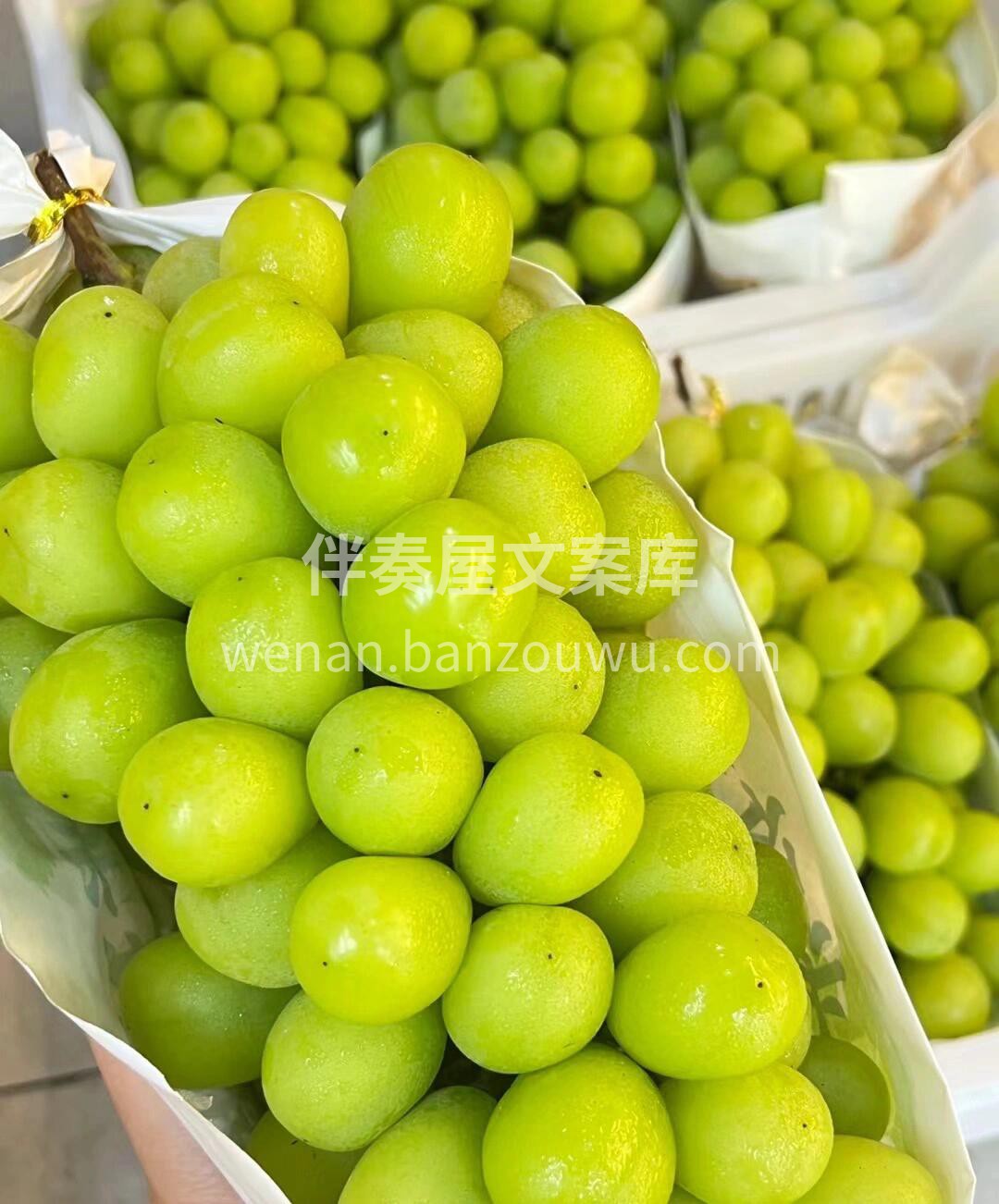 又脆又甜🔥特级阳光玫瑰 |自带一股淡淡玫 配图2