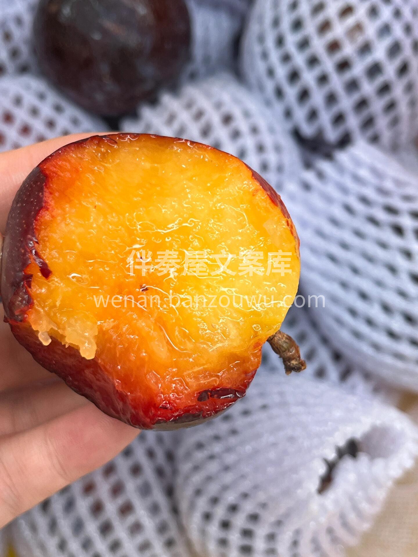 🦕美国恐龙蛋，又称黑金刚❤️ 好评率超高 配图1