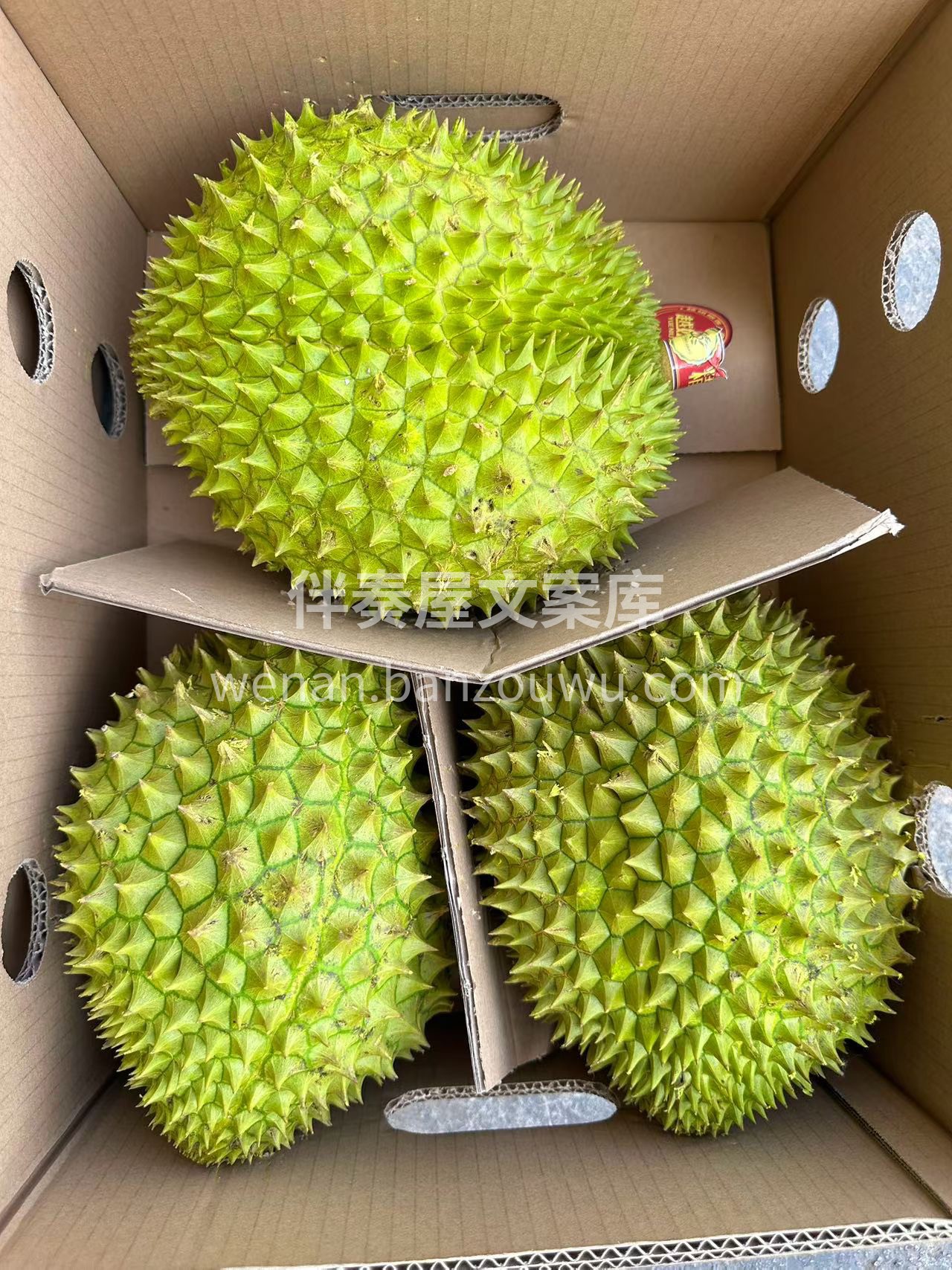 今日份的快乐是“特供甄选”给的！这饱满到 配图2