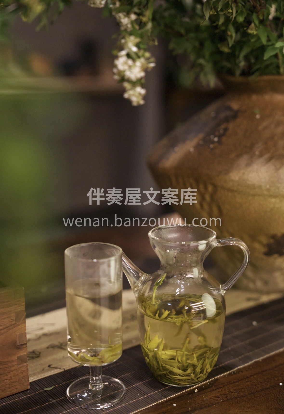 明前龙井，翠芽凝香。🍵 🎁一杯春茶敬知己 配图2