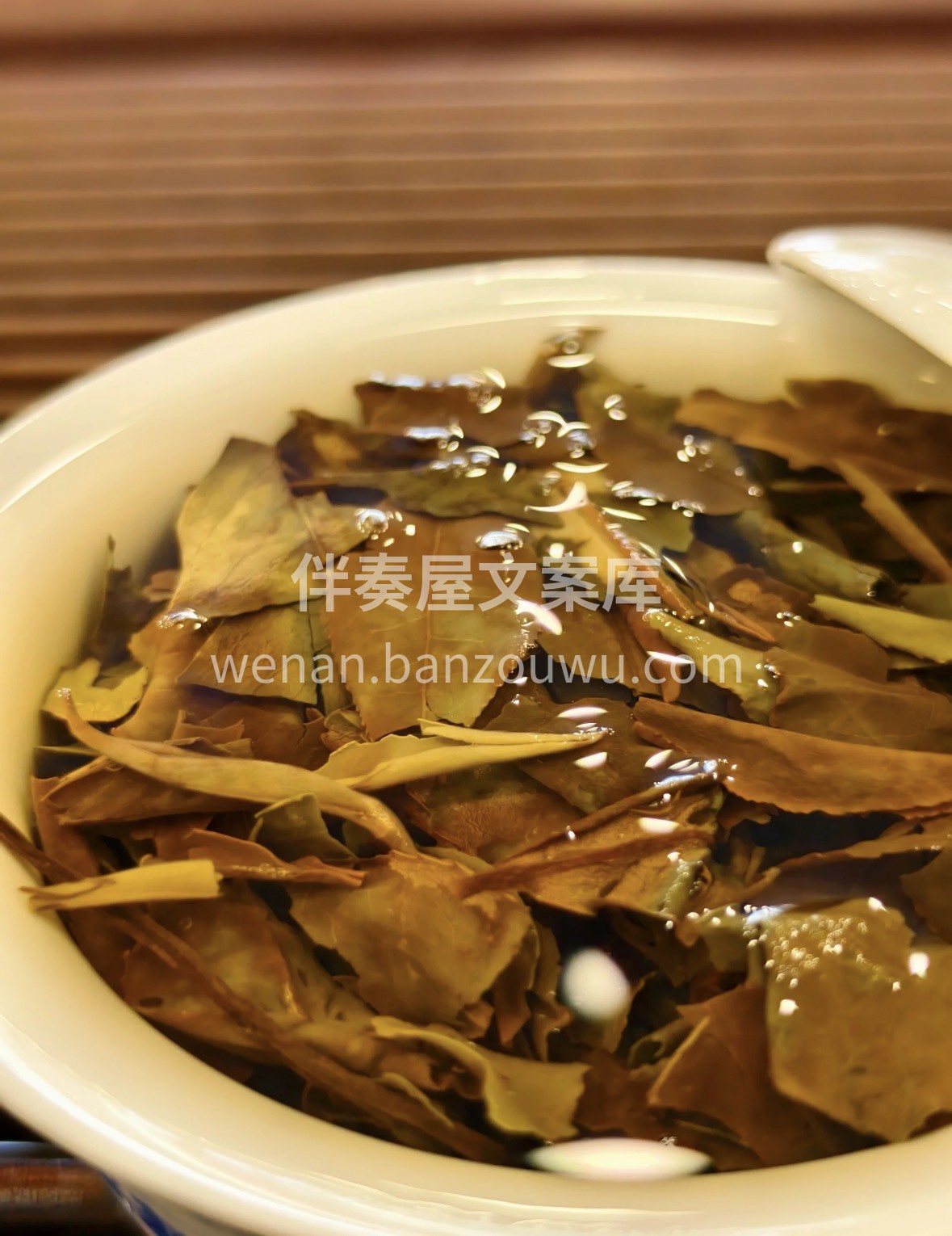 福鼎核心产区老寿眉，紧压成饼藏岁月。陈年 配图2