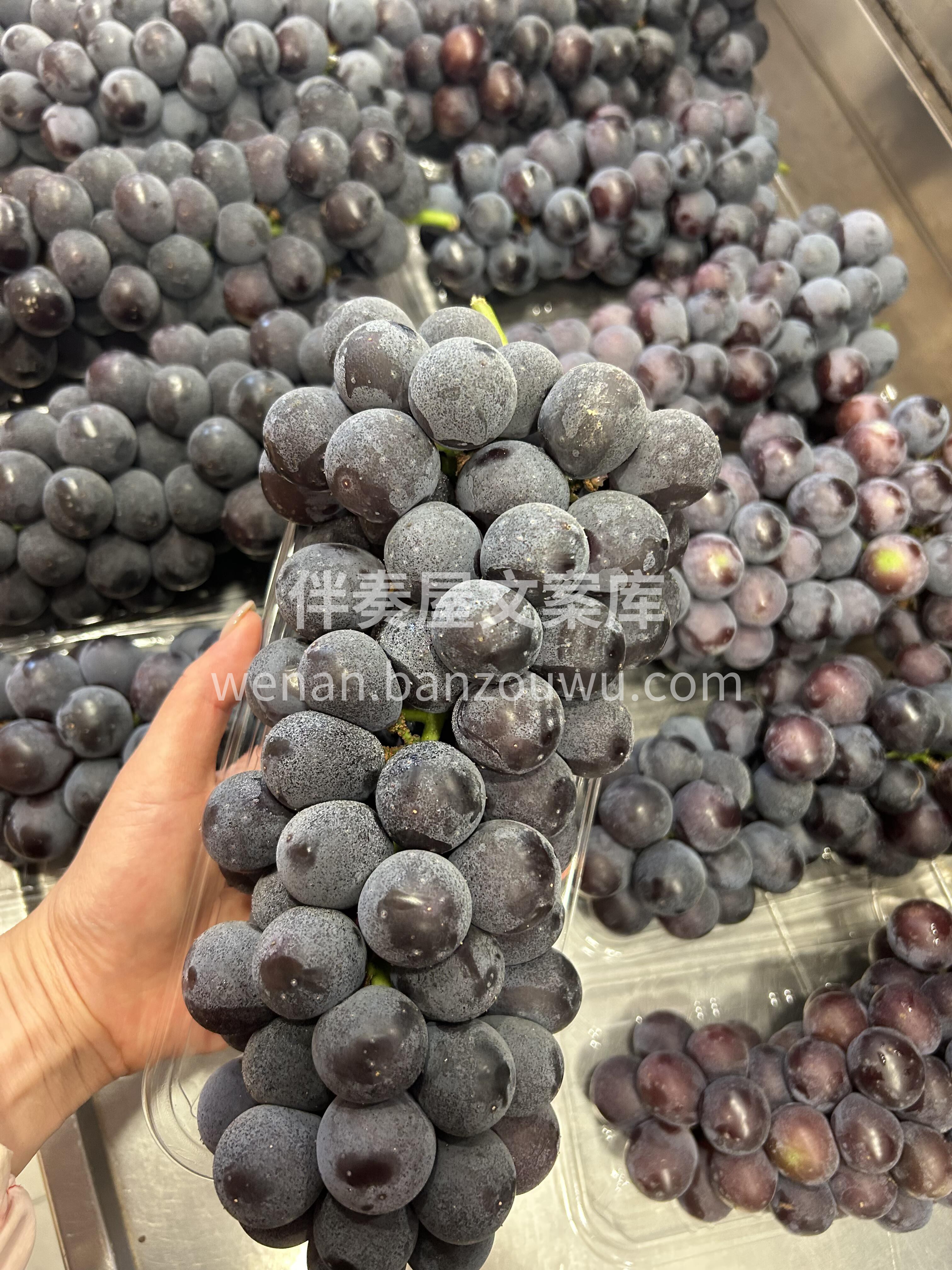 🍇夏黑葡萄看着就高级‼️ 黑得发亮像小宝 配图3