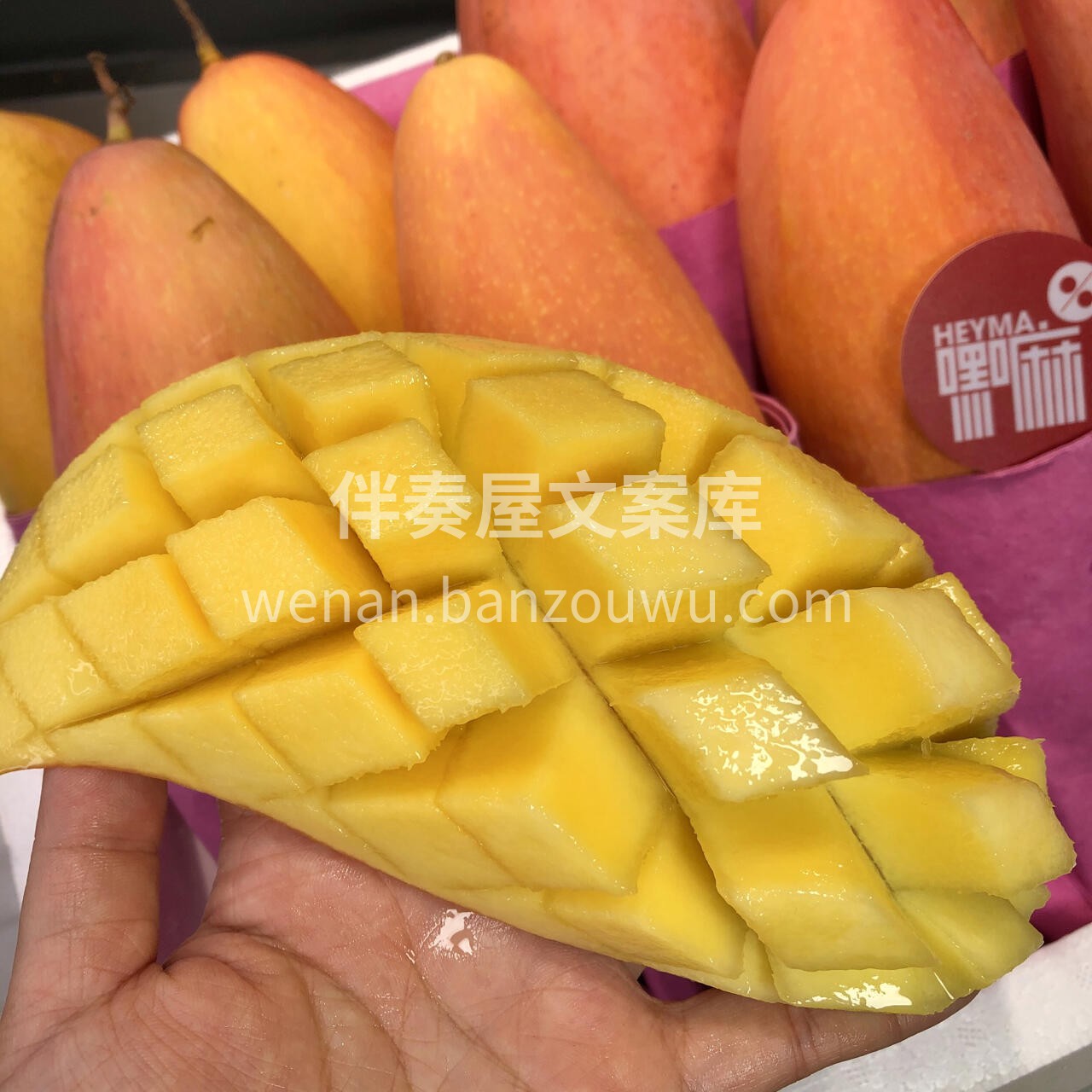 路遇过春风十里💃，却始终抵不上你的一口甜 配图3